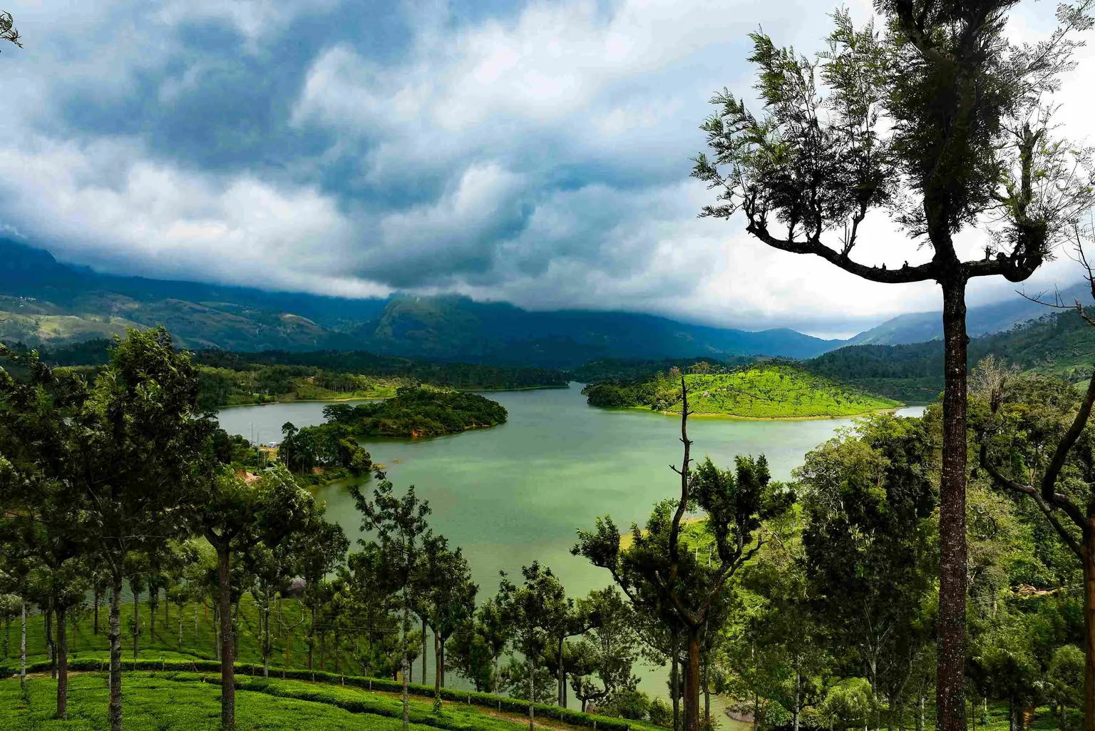 places to visit in munnar