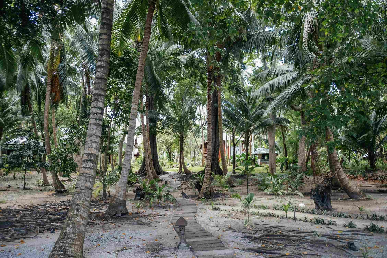 How to reach andaman and nicobar islands