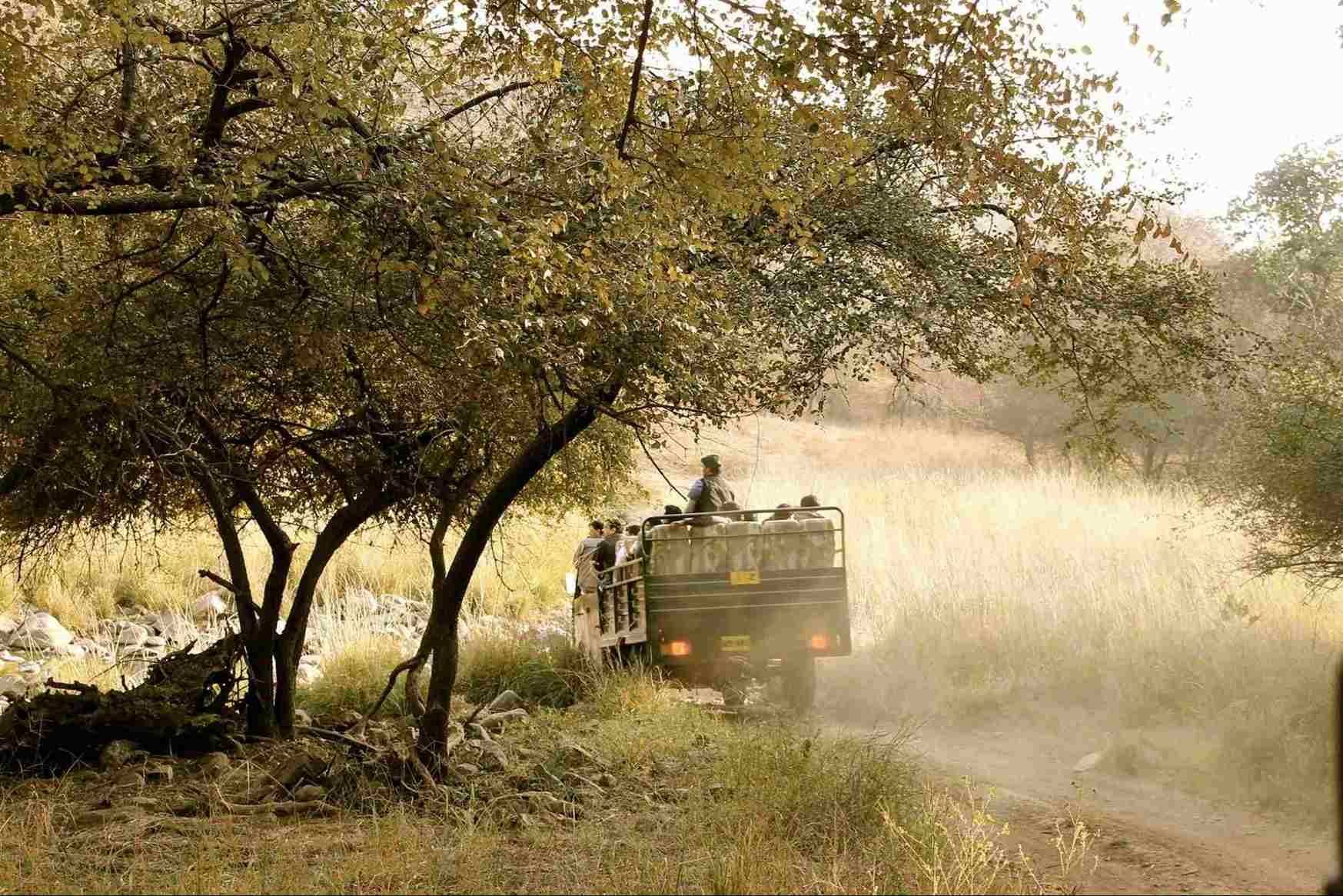 Ranthambore