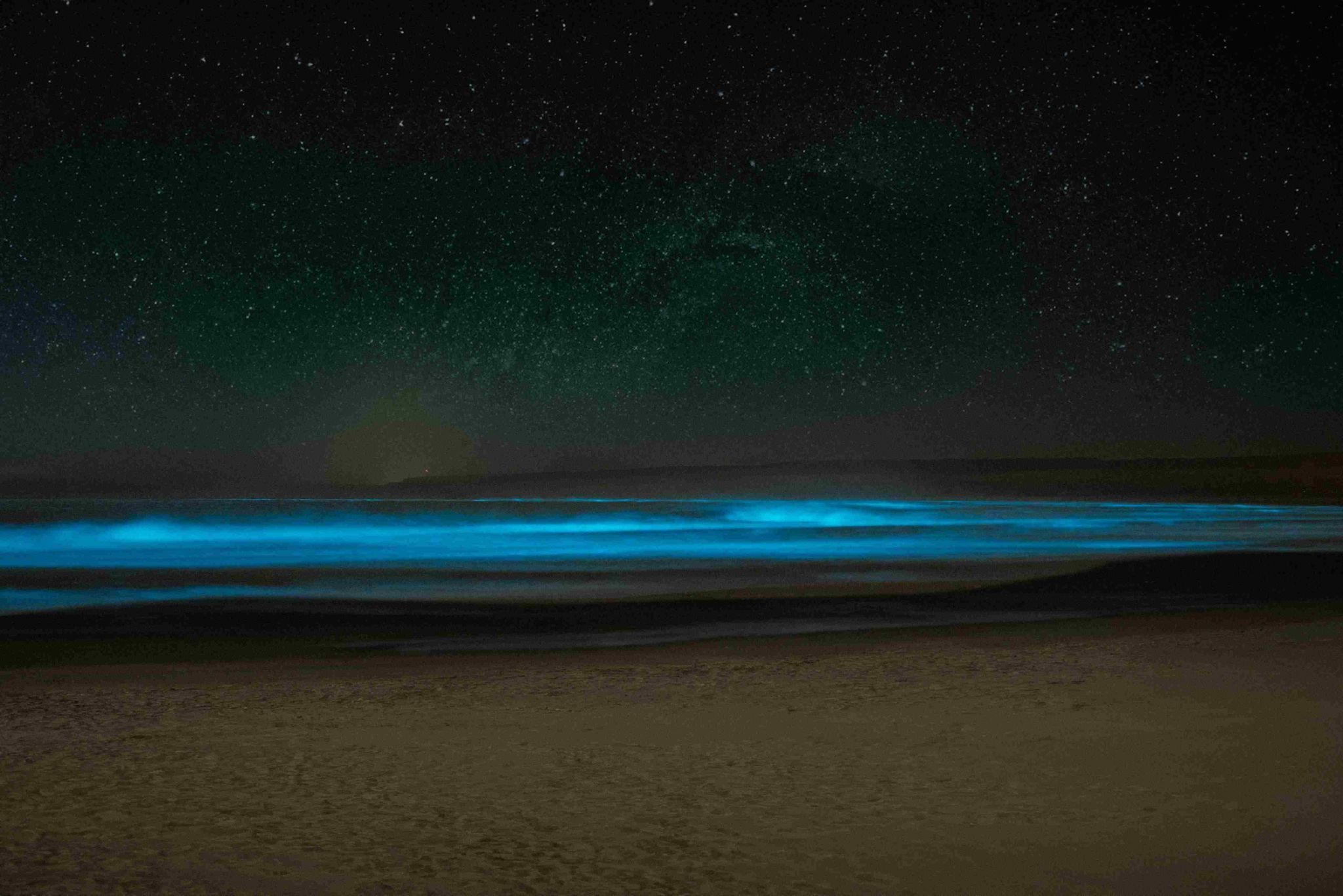 bioluminescent beach