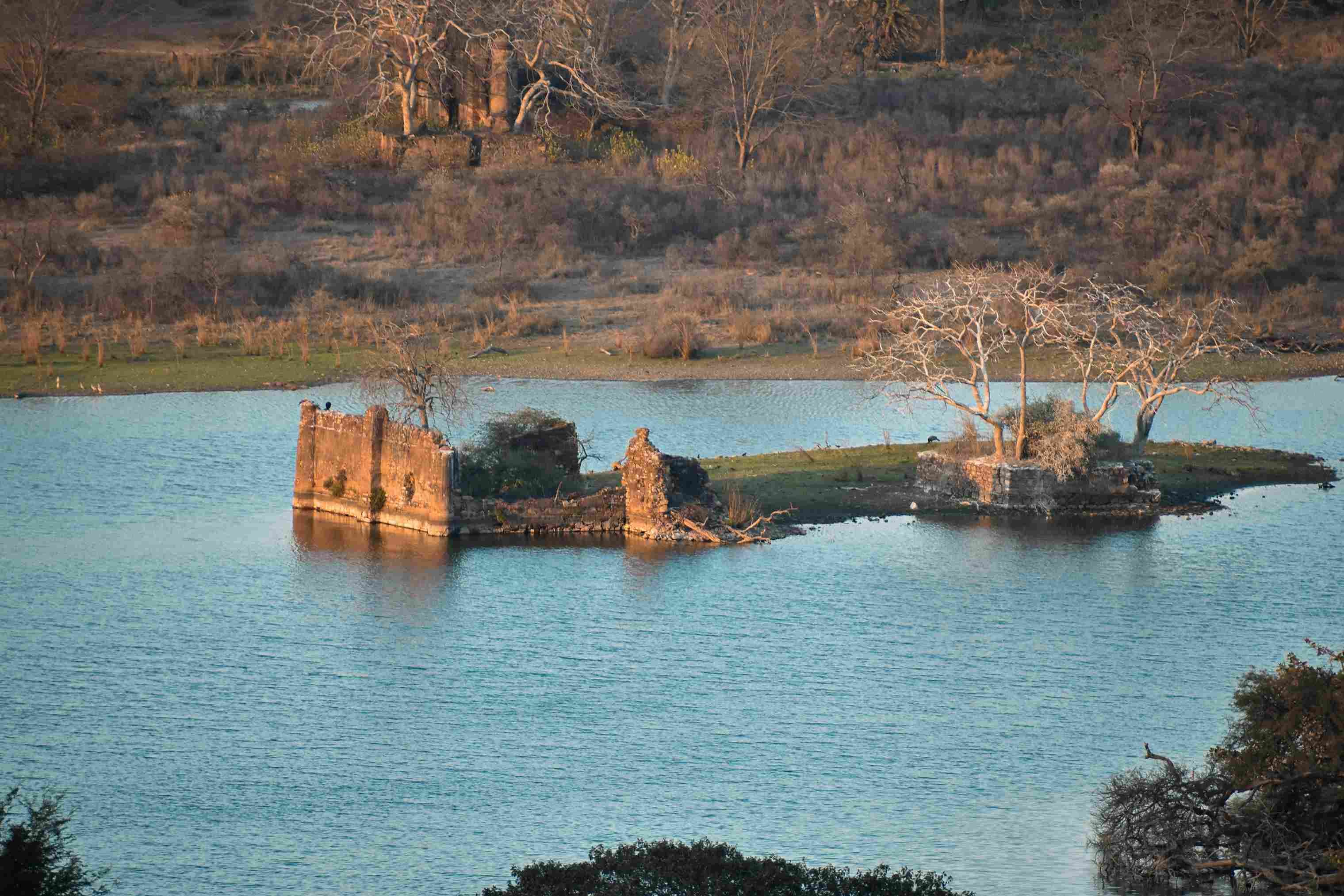 Ranthambore