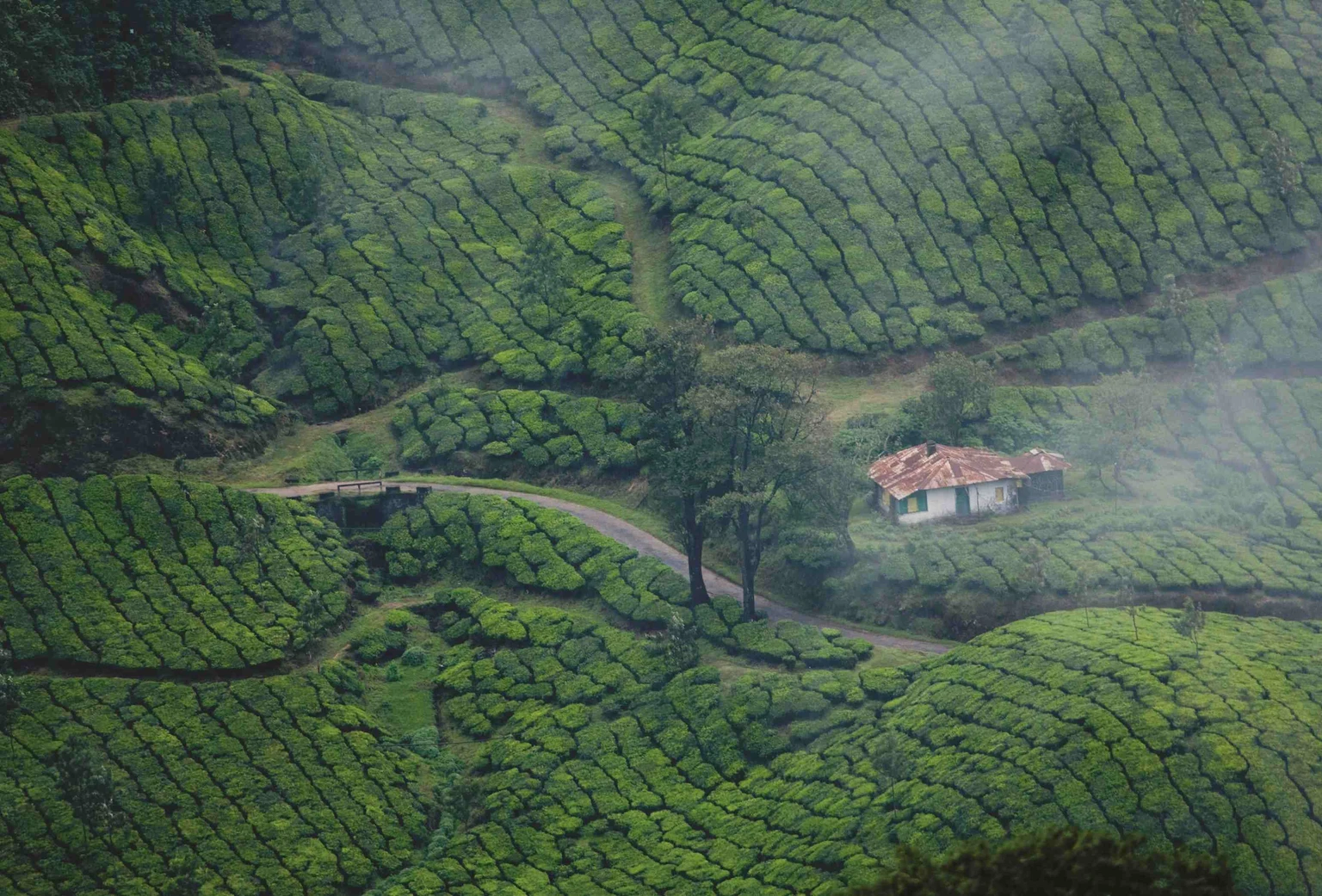 places to visit in thekkady