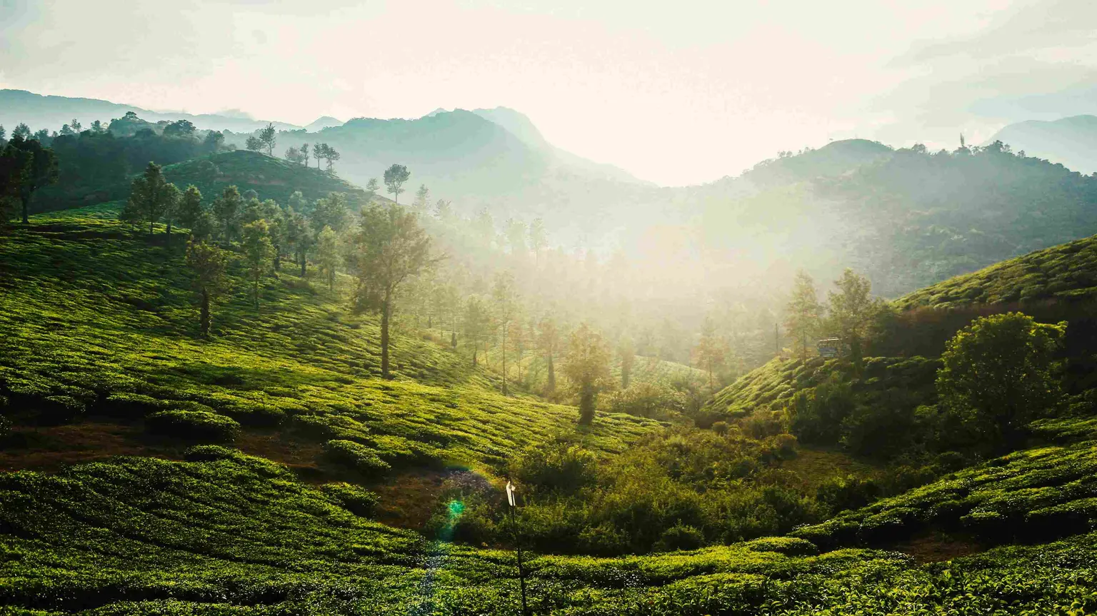 places to visit in wayanad