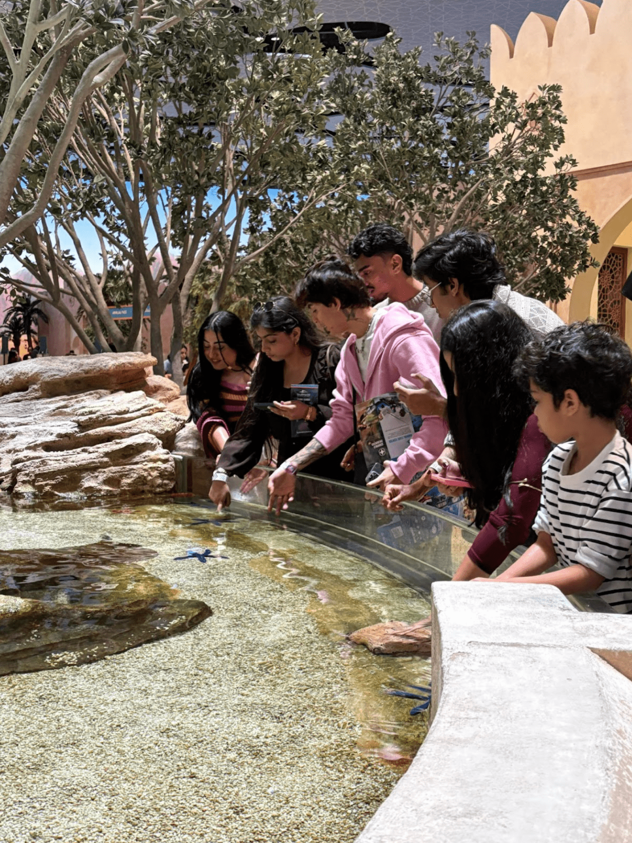 Ferrari World™ Yas Island