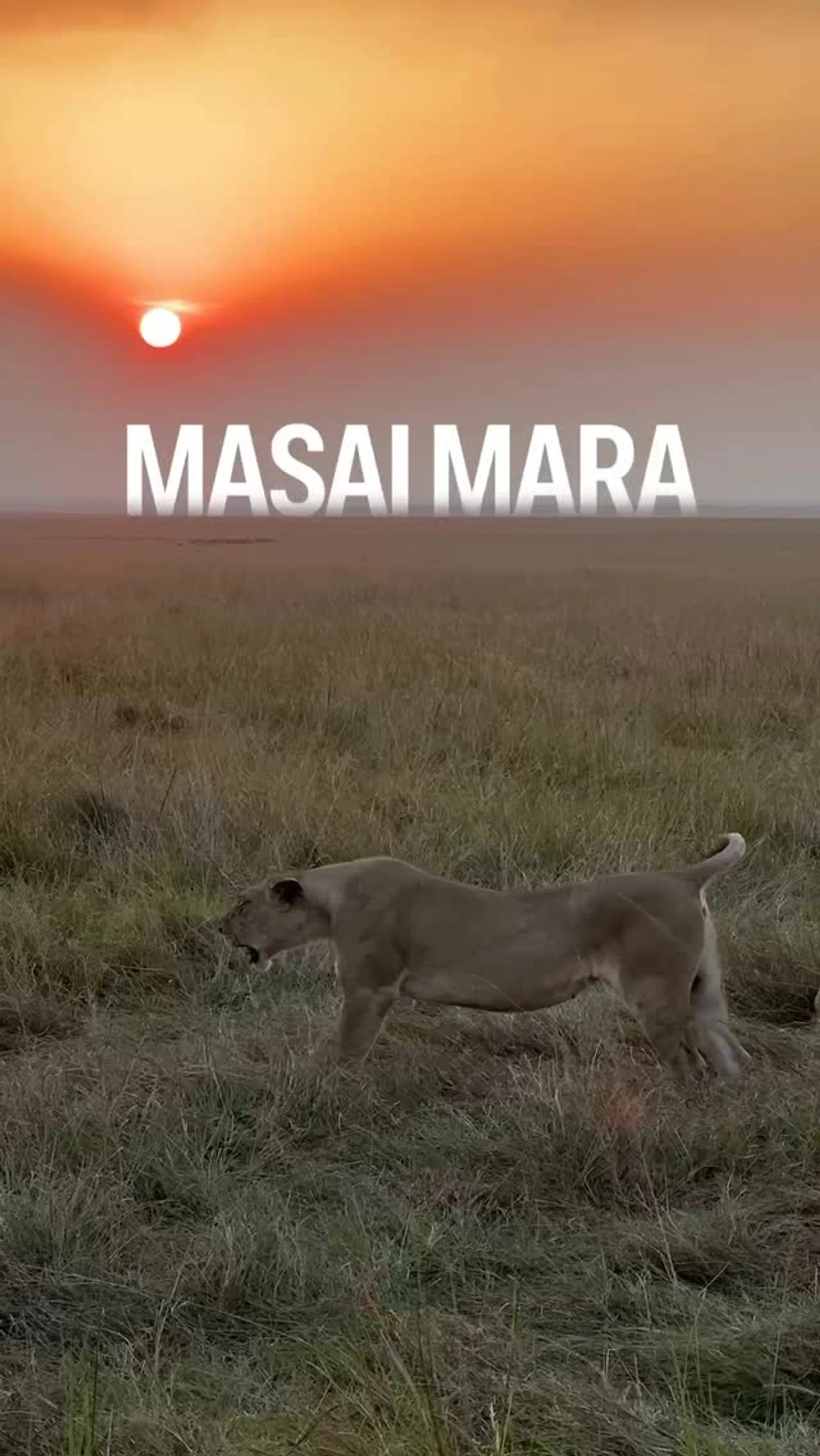 Exclusive behind-the-scenes footage from HolidayTribe