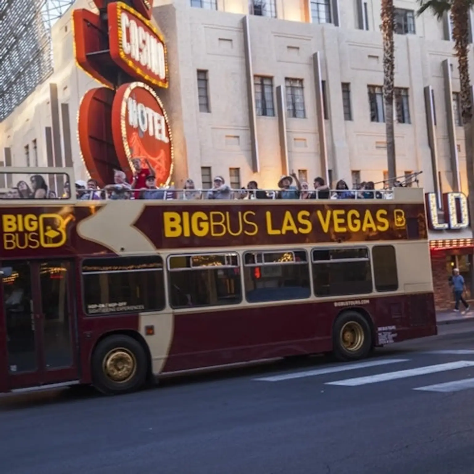 Las Vegas: Night Open Top Bus Tour + Neon Museum Evening Entry