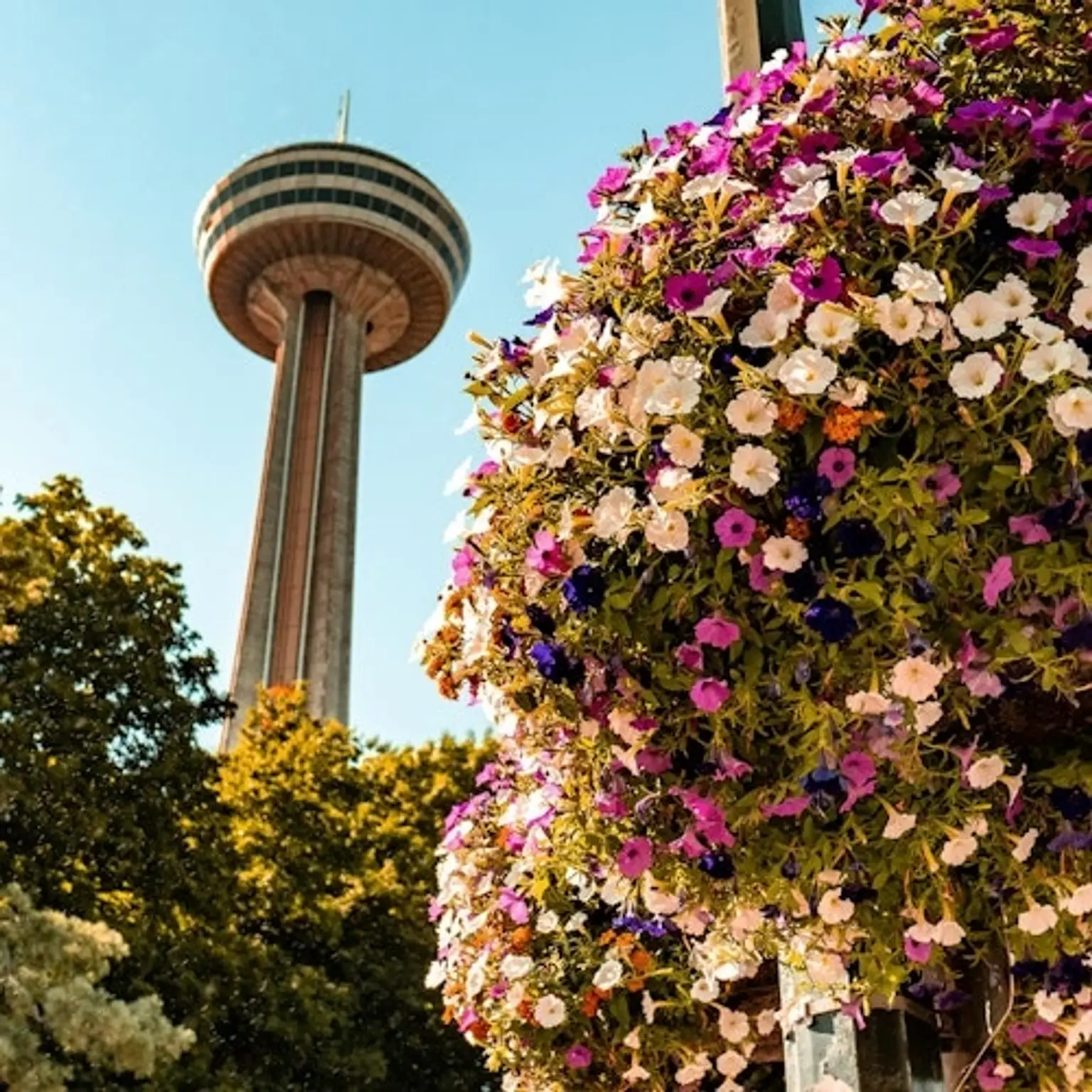 Niagara Falls: Guided Tour with Boat Cruise, Cave of the Winds & Skylon Tower