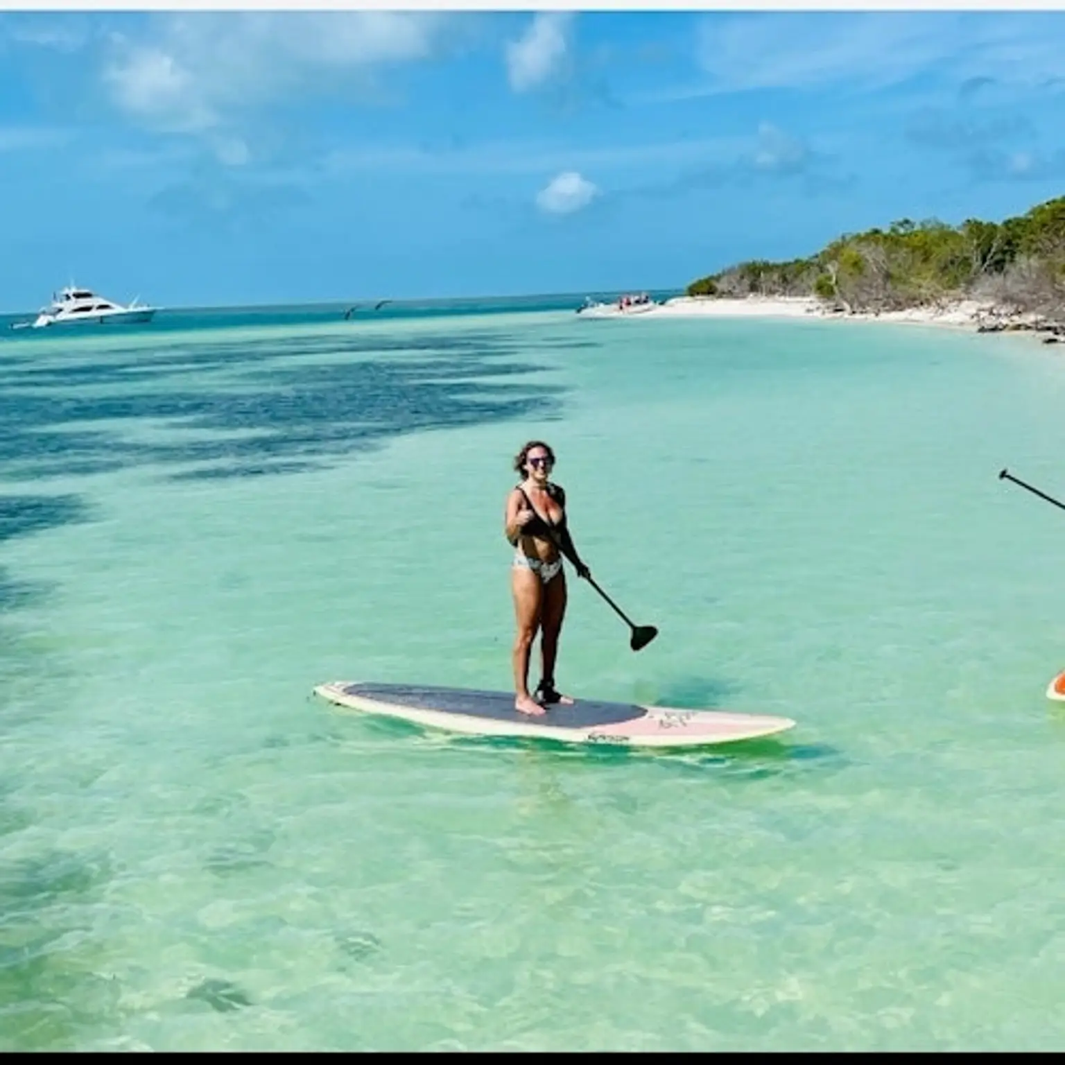 Island Excursion & Dolphin Watching