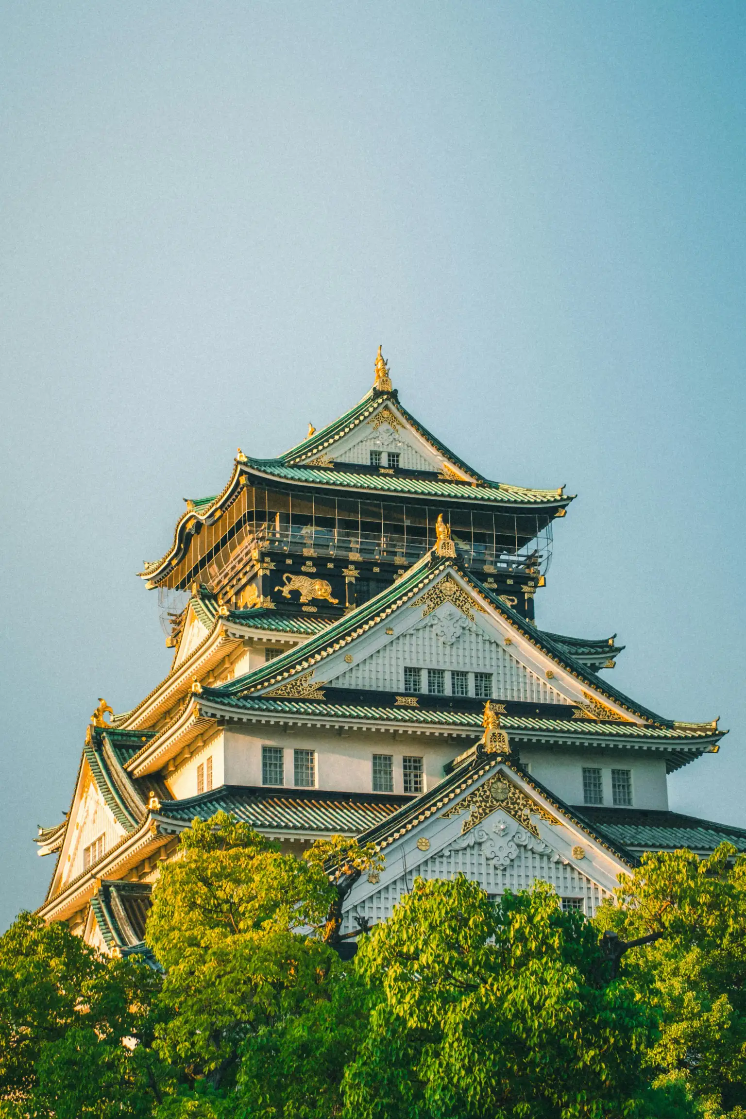 Osaka Castle Historical Walking Tour