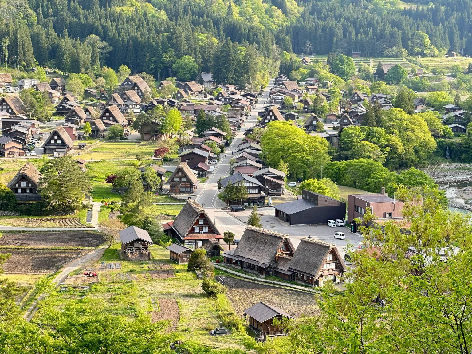 Nagoya Day Tour | Shirakawa-go UNESCO Village | Historic Hida Takayama Town