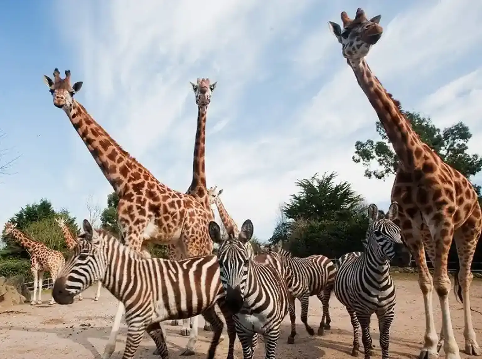 Colombo Zoological Garden - Ticket Only