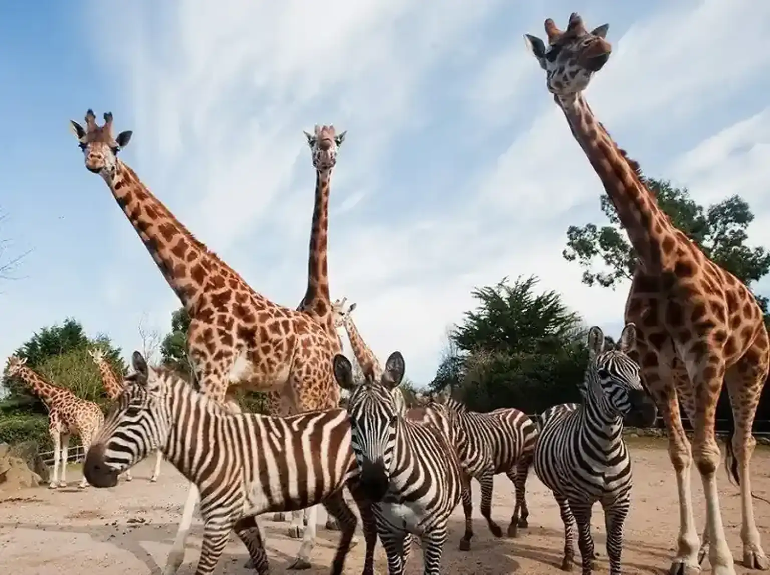 Explore the Wonders of Colombo Zoo: Admission Ticket