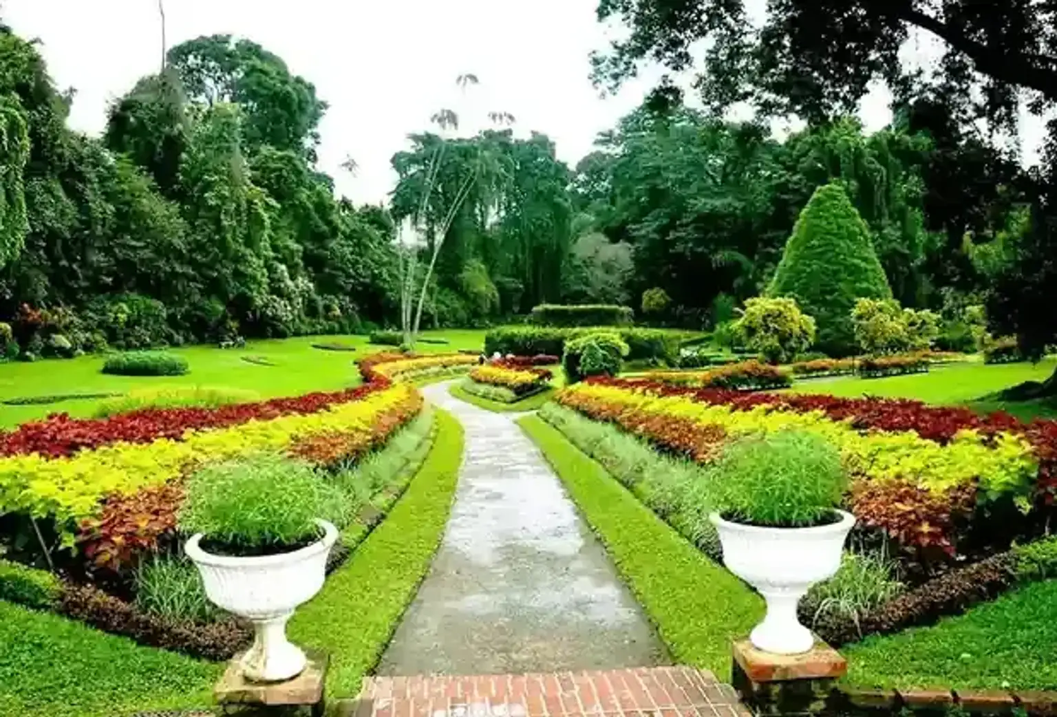 Explore the Enchanting Peradeniya Botanical Gardens