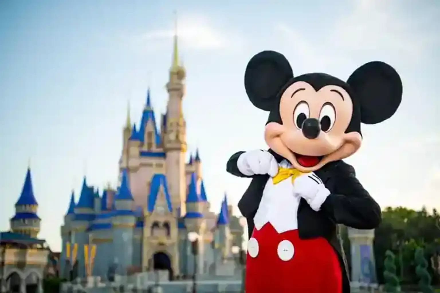 Walt Disney World Tickets – 1 Park