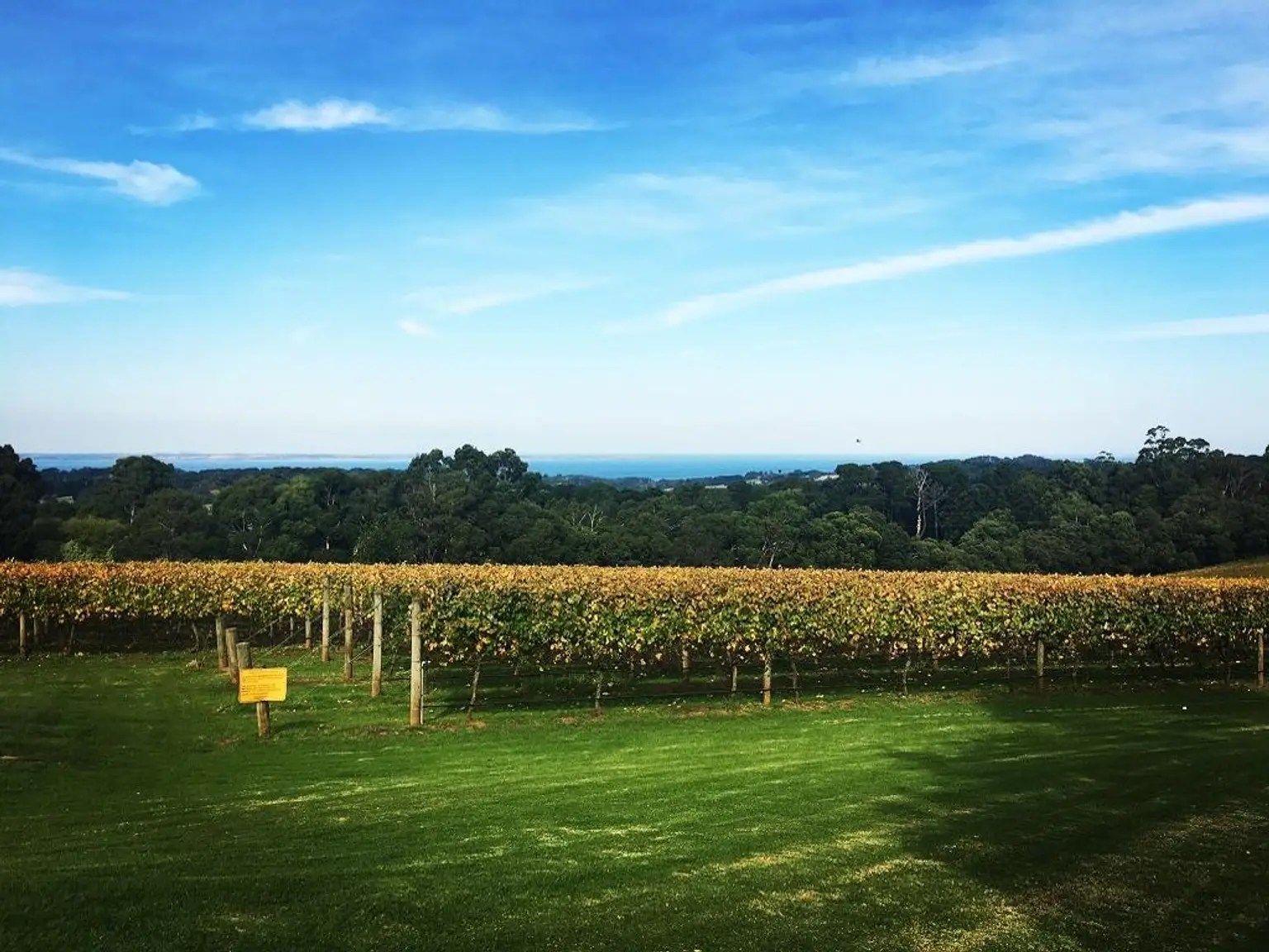 Mornington Peninsula Winery Tour