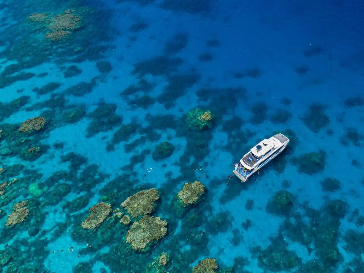 Silverswift Outer Barrier Reef Cruise