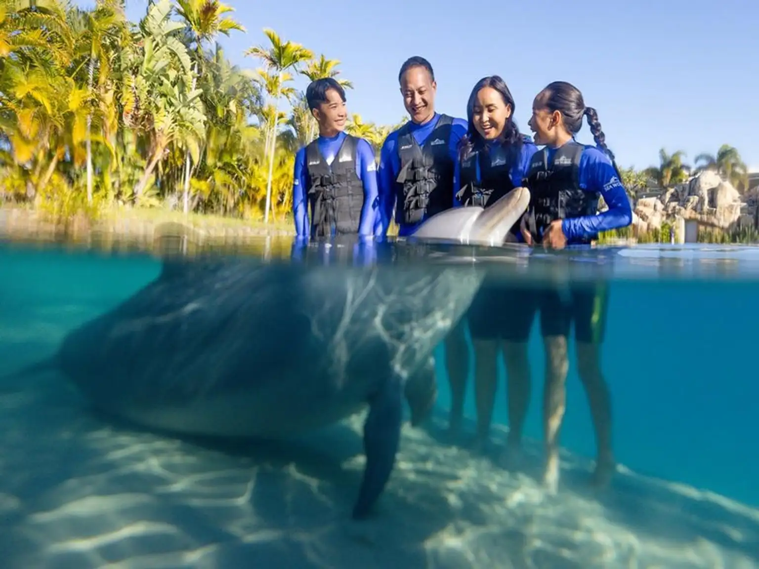 Village roadshow Sea World + Paradise Country