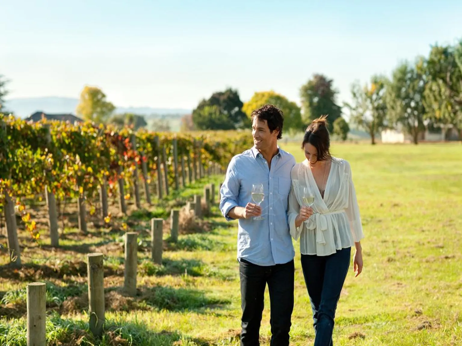 Hunter Valley Scenic Wine and Dine Tour with Lunch - Full-Day Tour