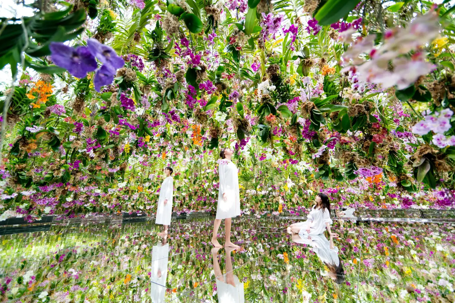 TeamLab Planets