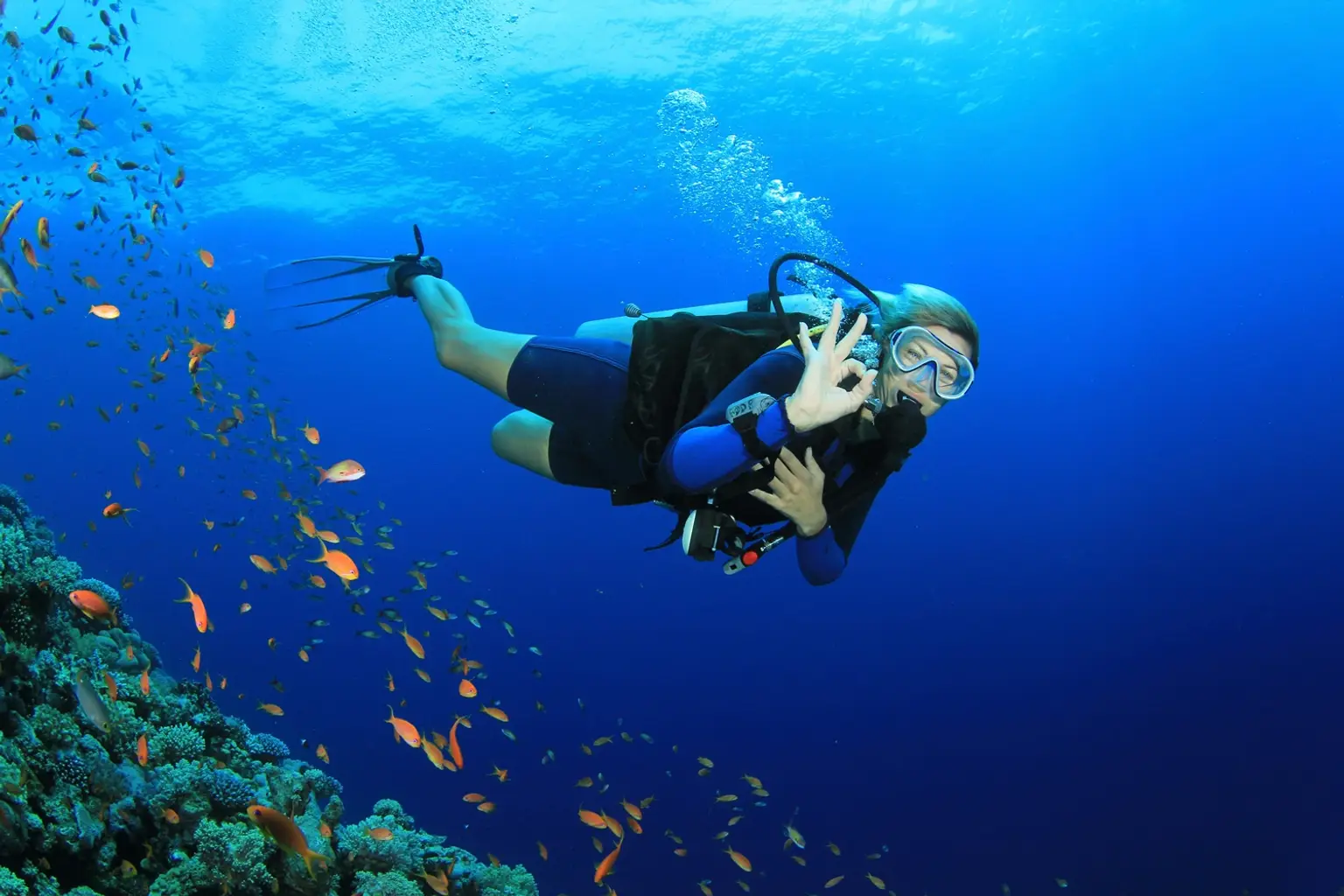 Abu Dhabi: PADI Discover Scuba Diving Program 