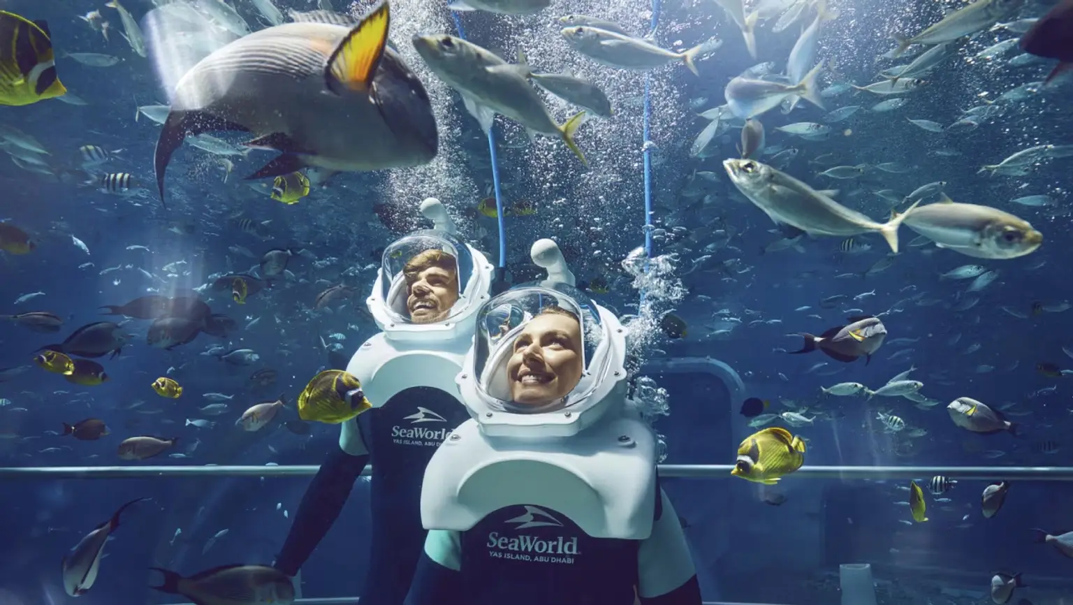  Abu Dhabi Sea World with Return Private Transfer