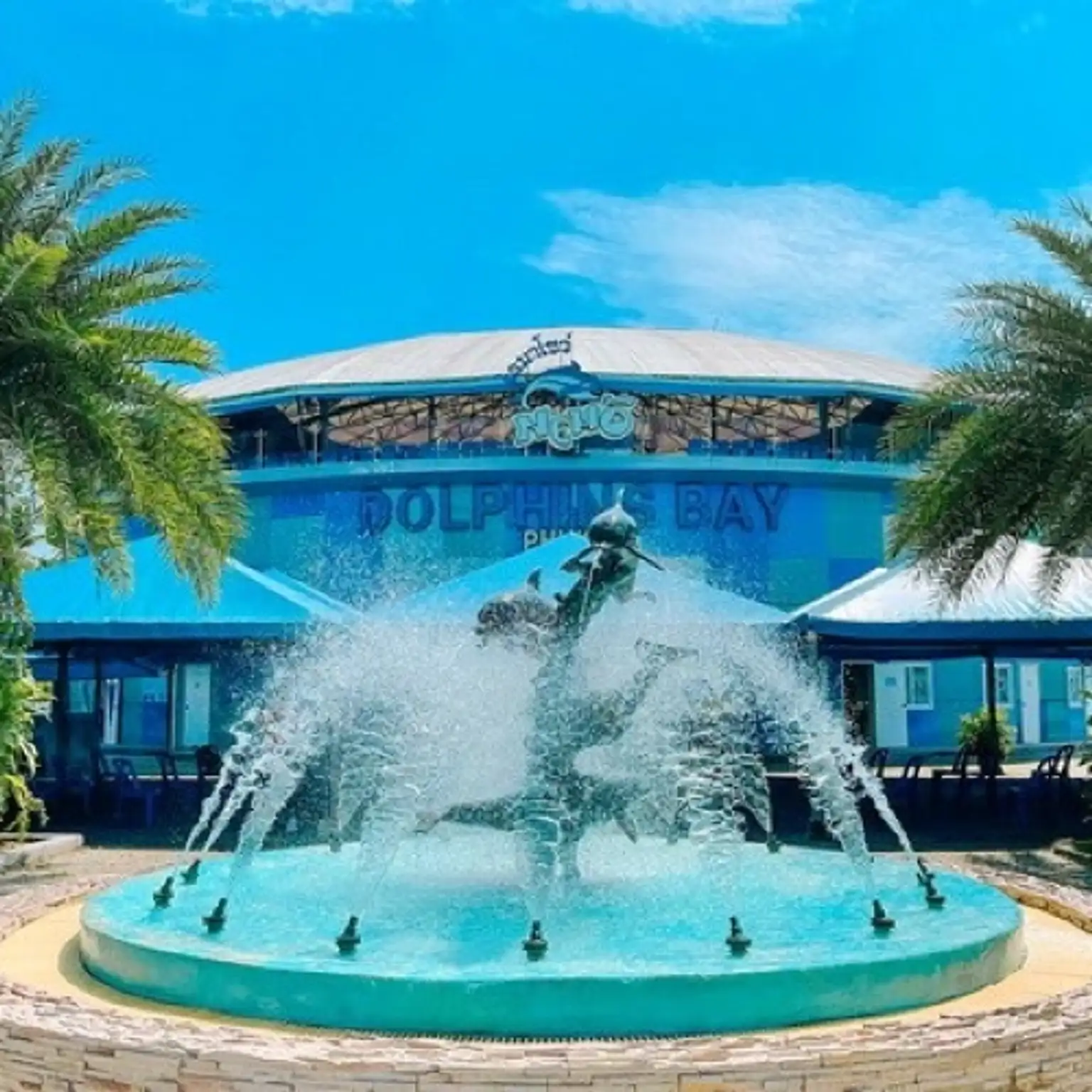 Dolphins Bay