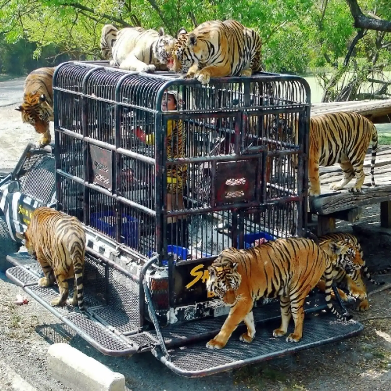 Safari World | Marine Park