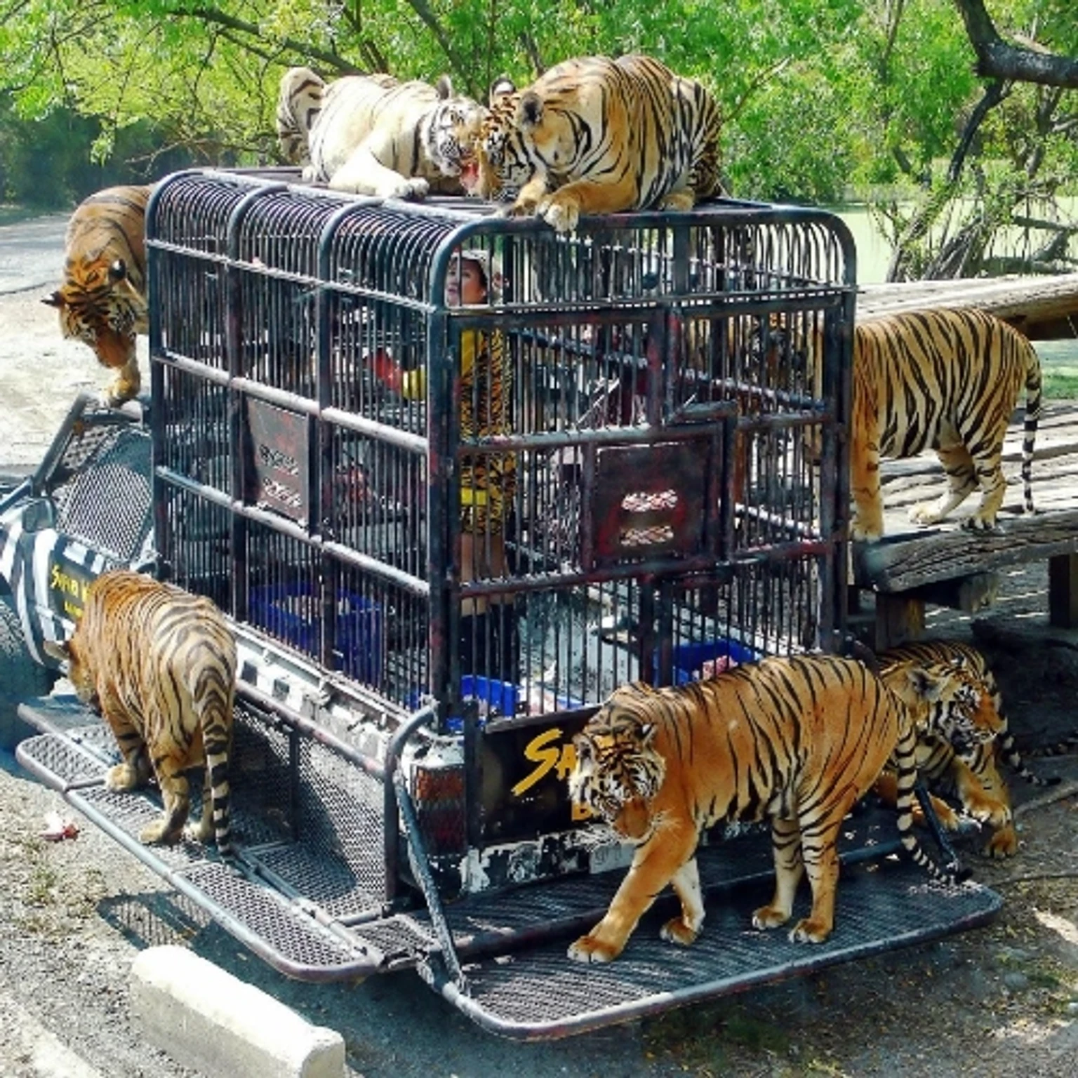 Safari World · Marine Park