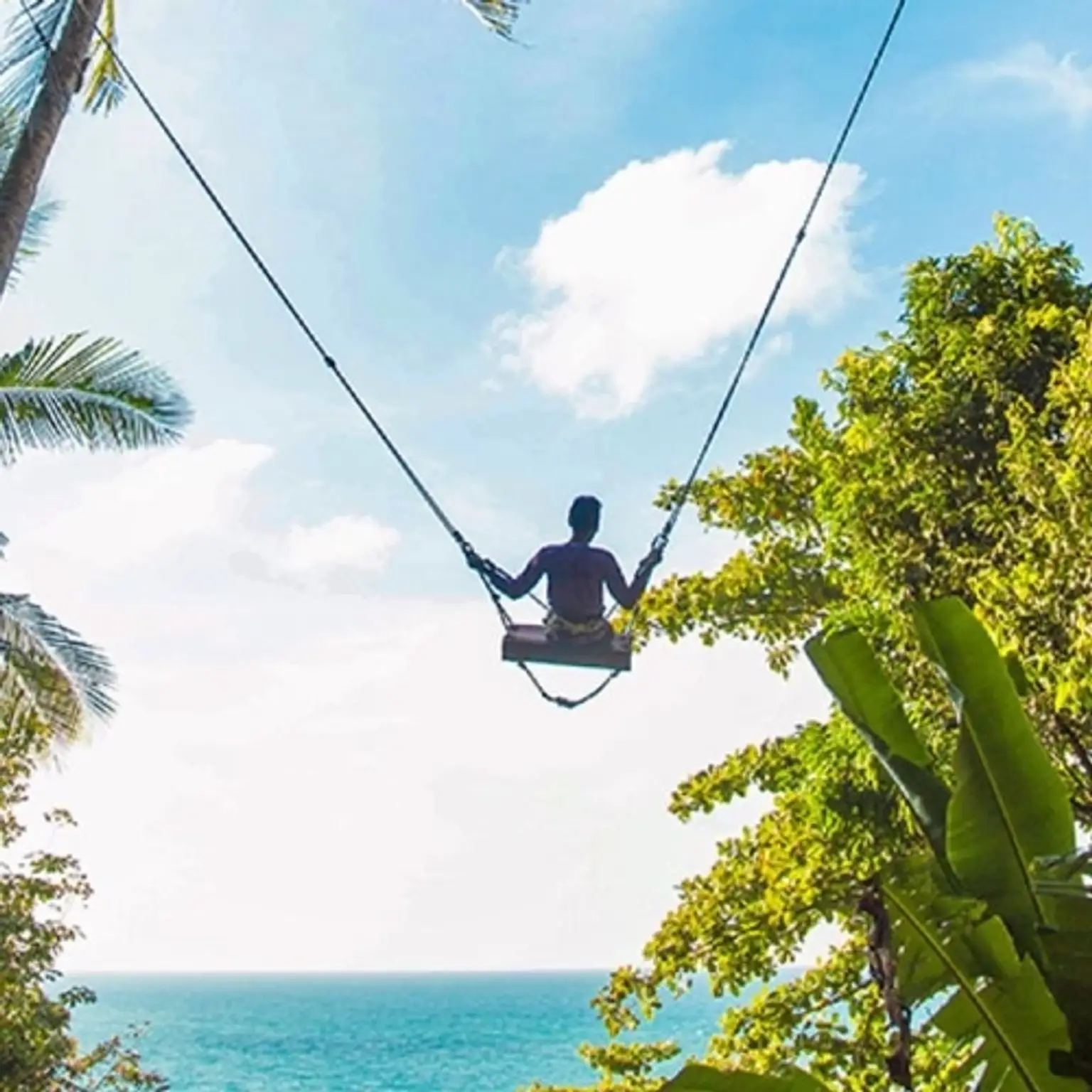 Rock Swing