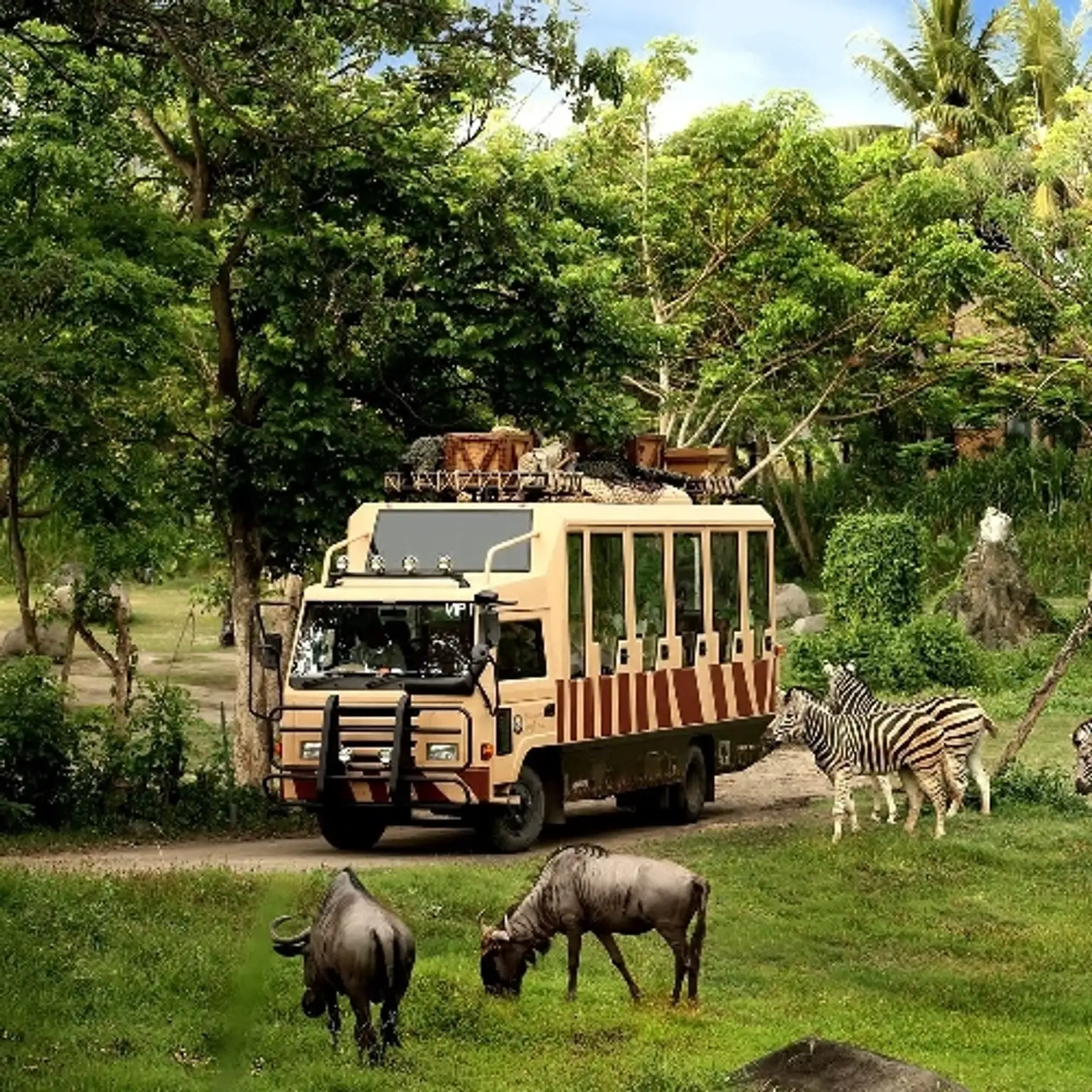Taman Safari - Jungle Hopper Pass