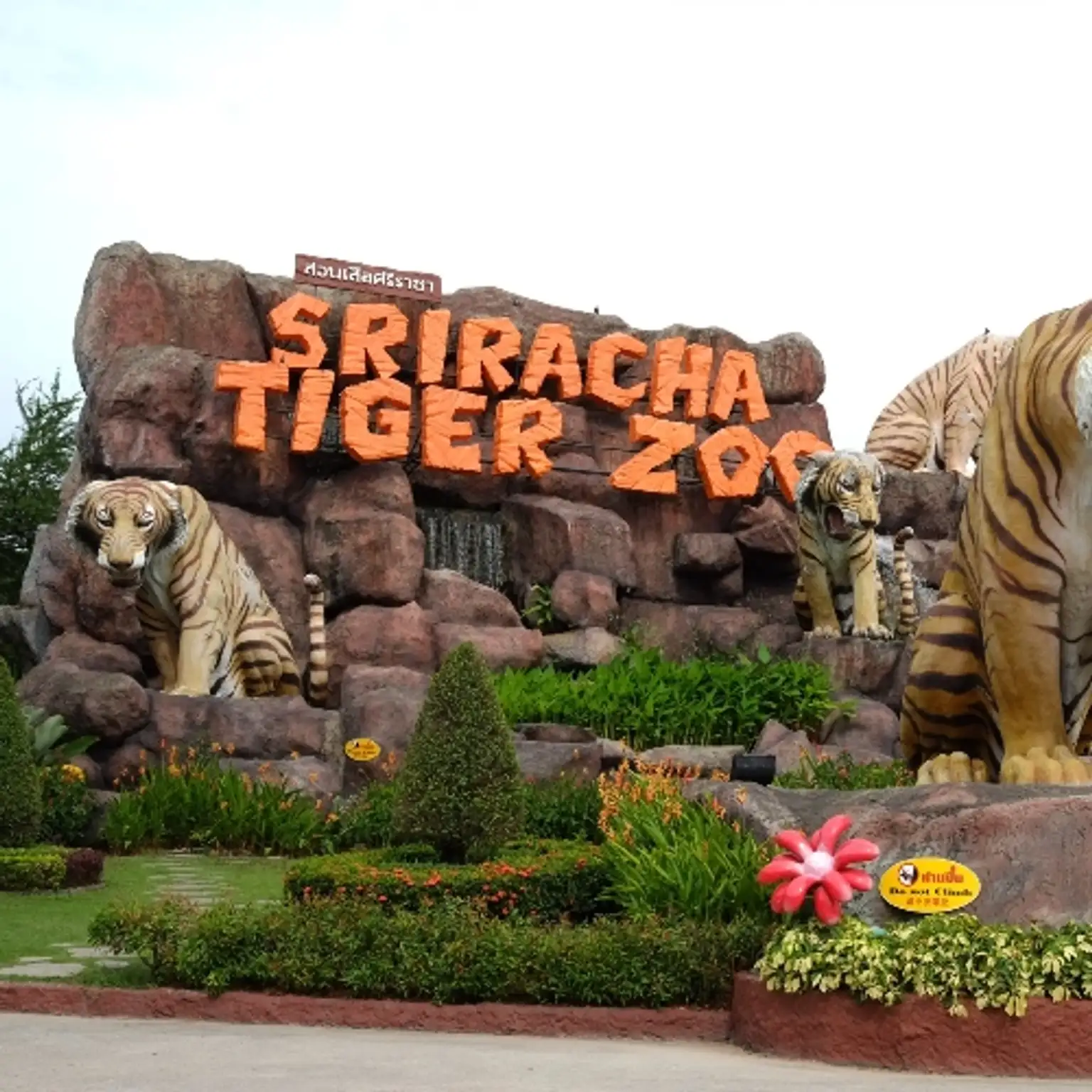 Sri Racha Tiger Zoo - Photo Shooting | Feeding