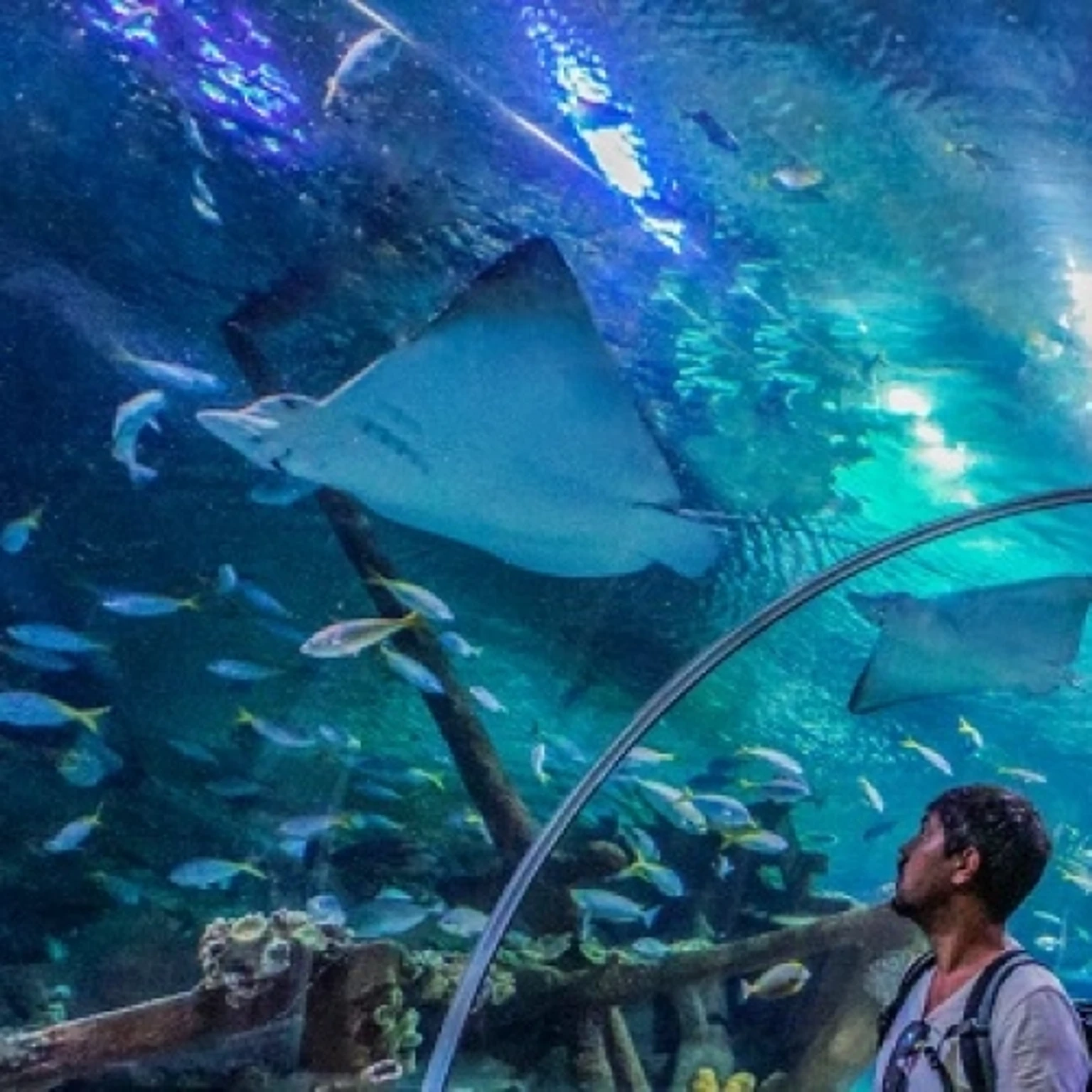 Aquaria KLCC