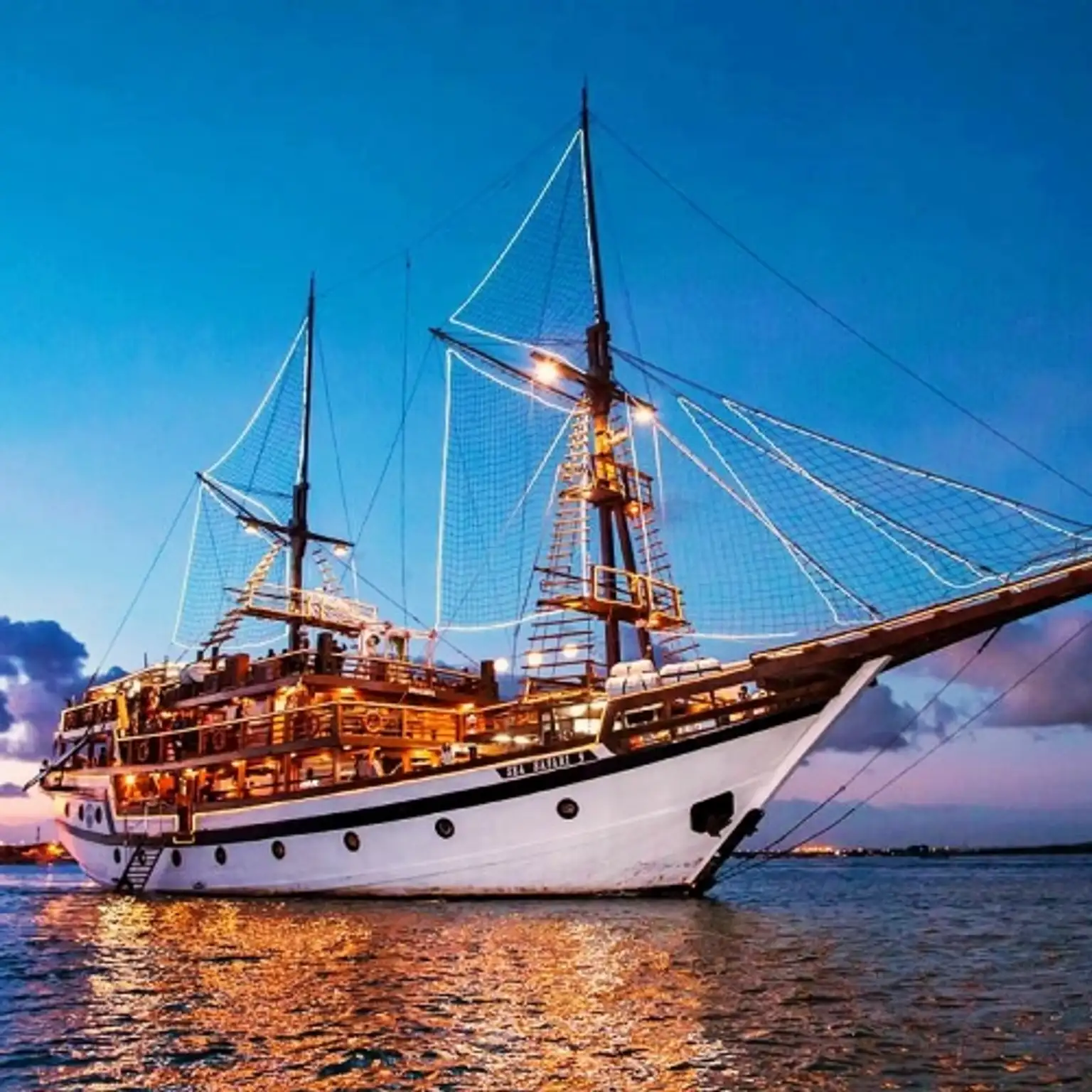 Sea Safari Cruise