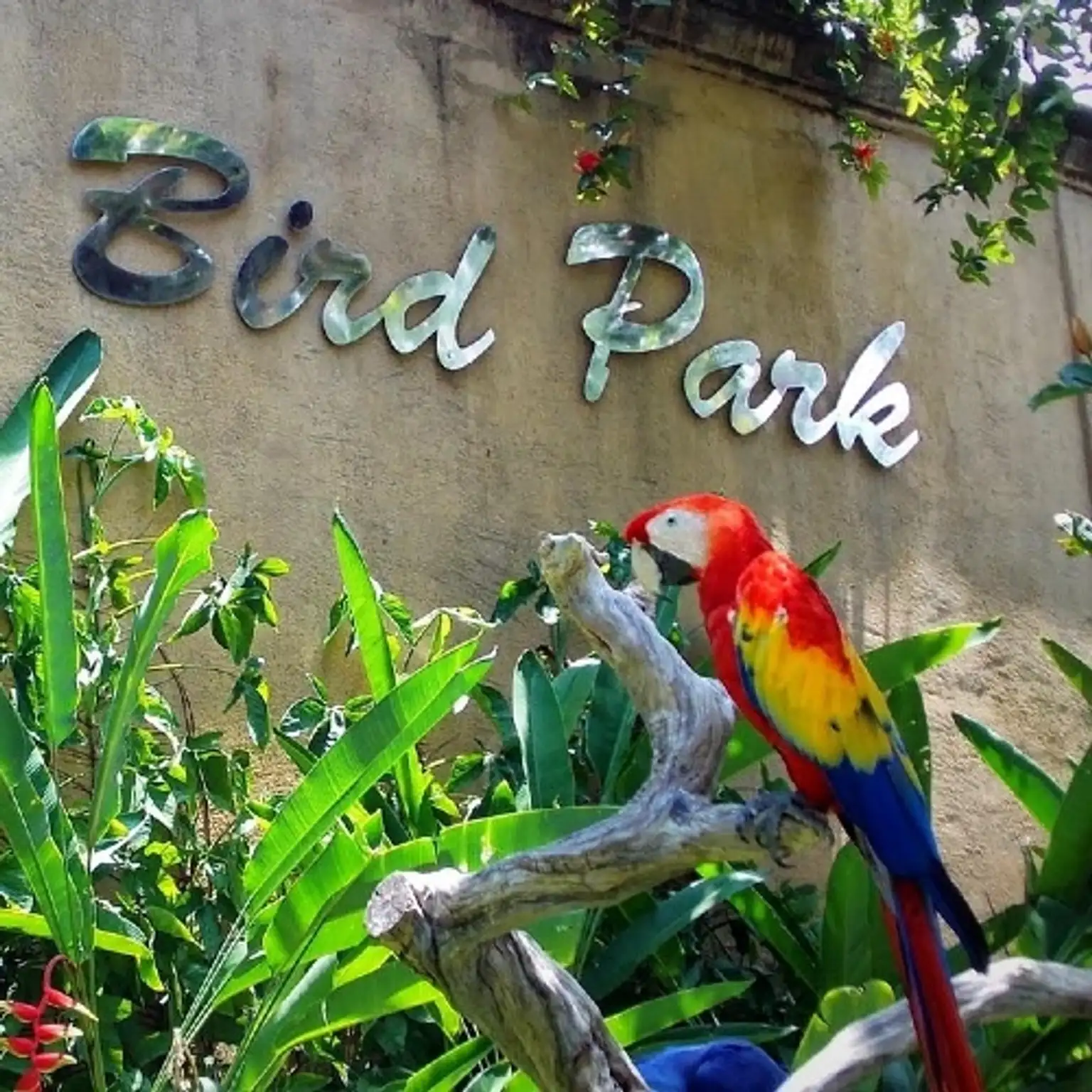 Bali Bird Park