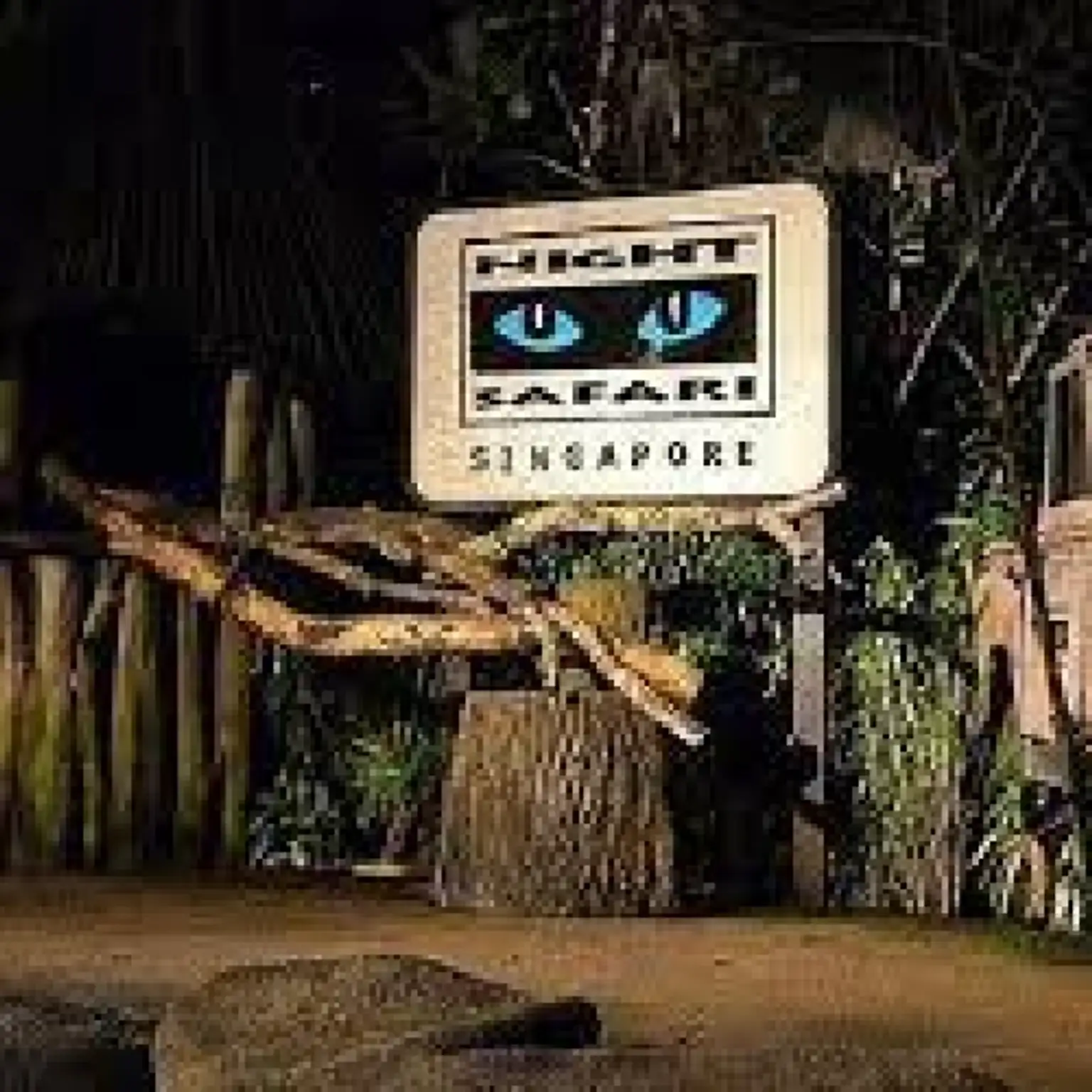 Singapore Night Safari