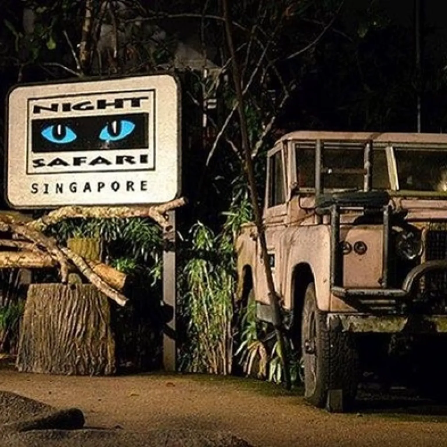 Night Safari Singapore