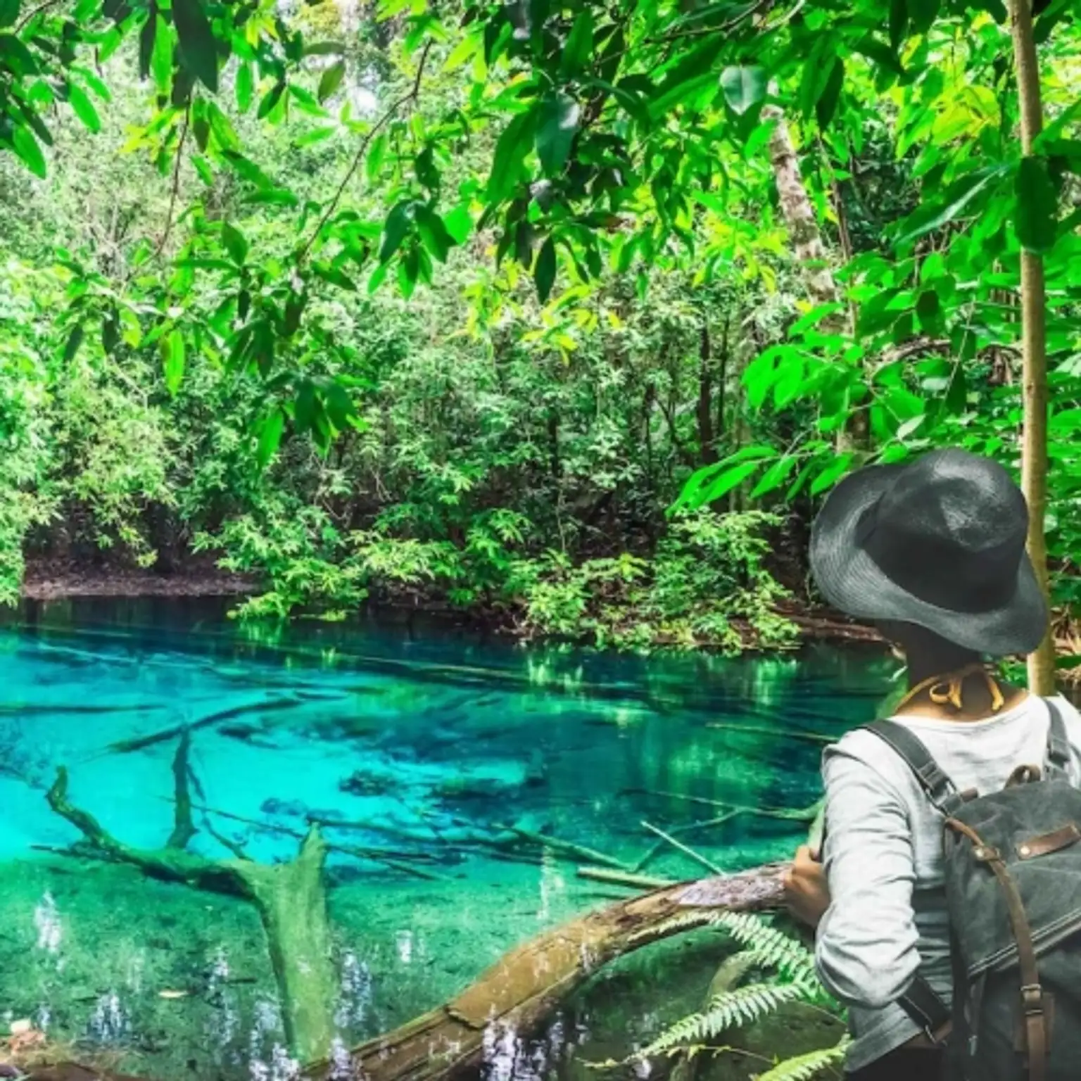 Jungle Tour