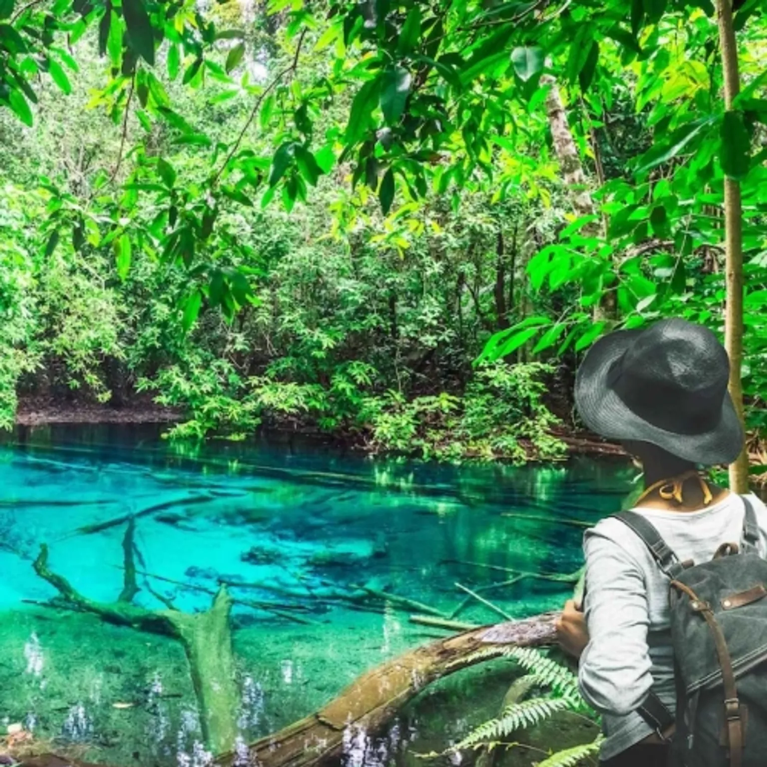 Jungle Tour