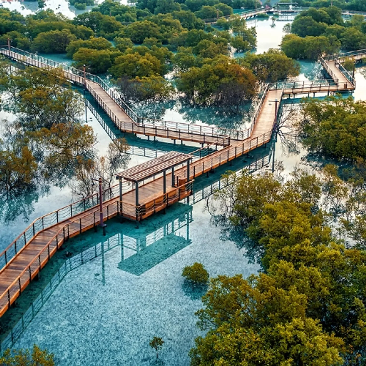 Jubail Mangrove Park