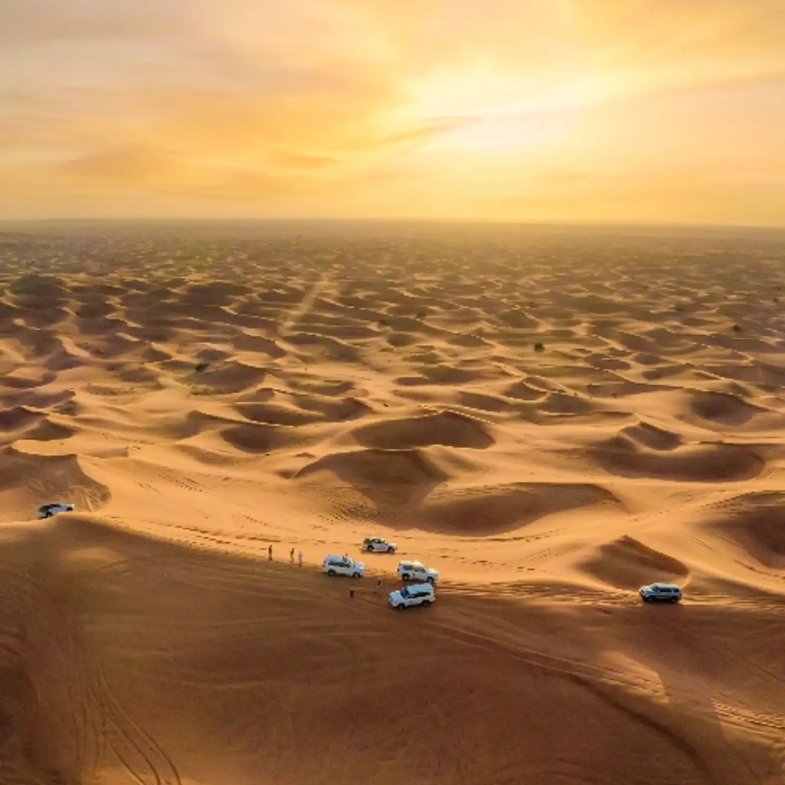 Desert Safari