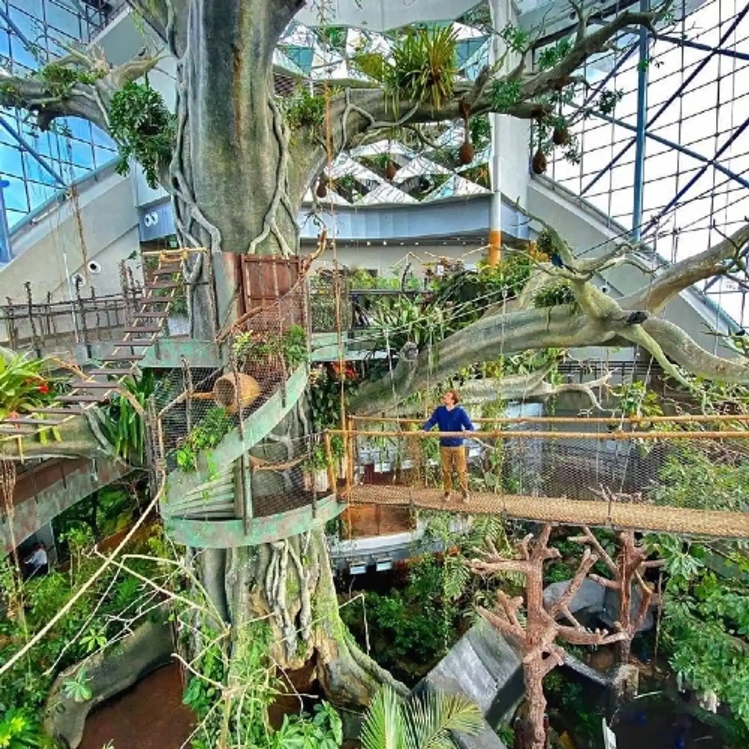 Green Planet