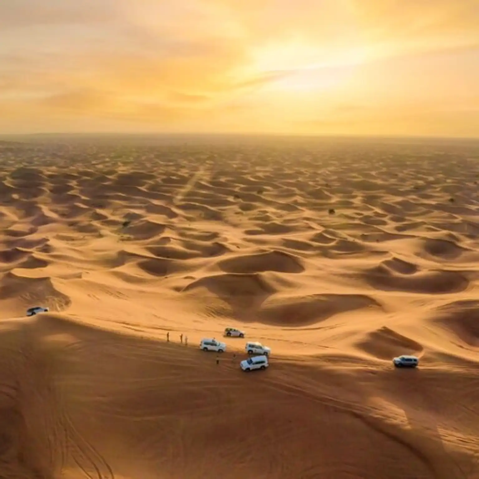 Desert Safari