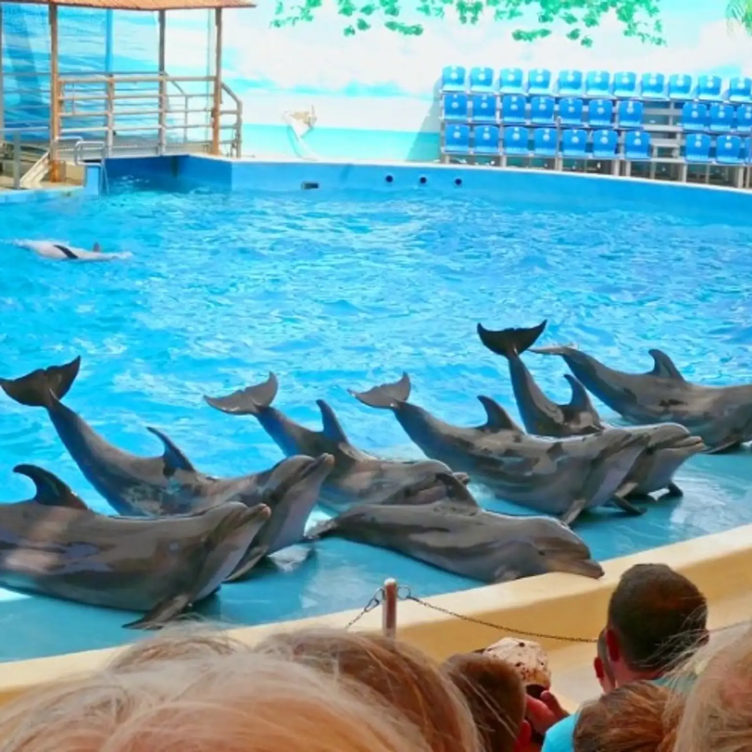 Dubai Dolphinarium