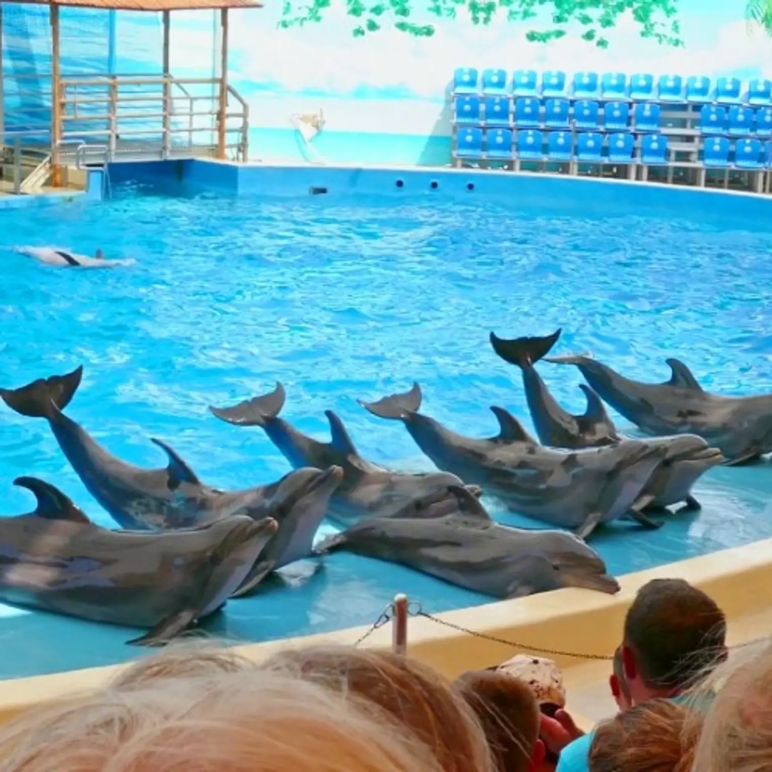 Dubai Dolphinarium