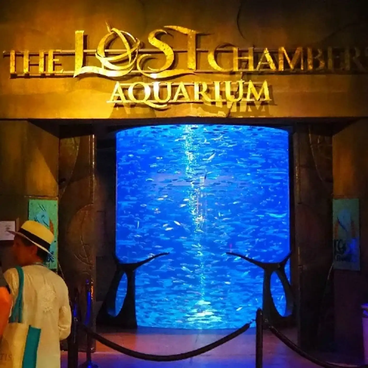 Aquaventure Waterpark | Lost Chambers