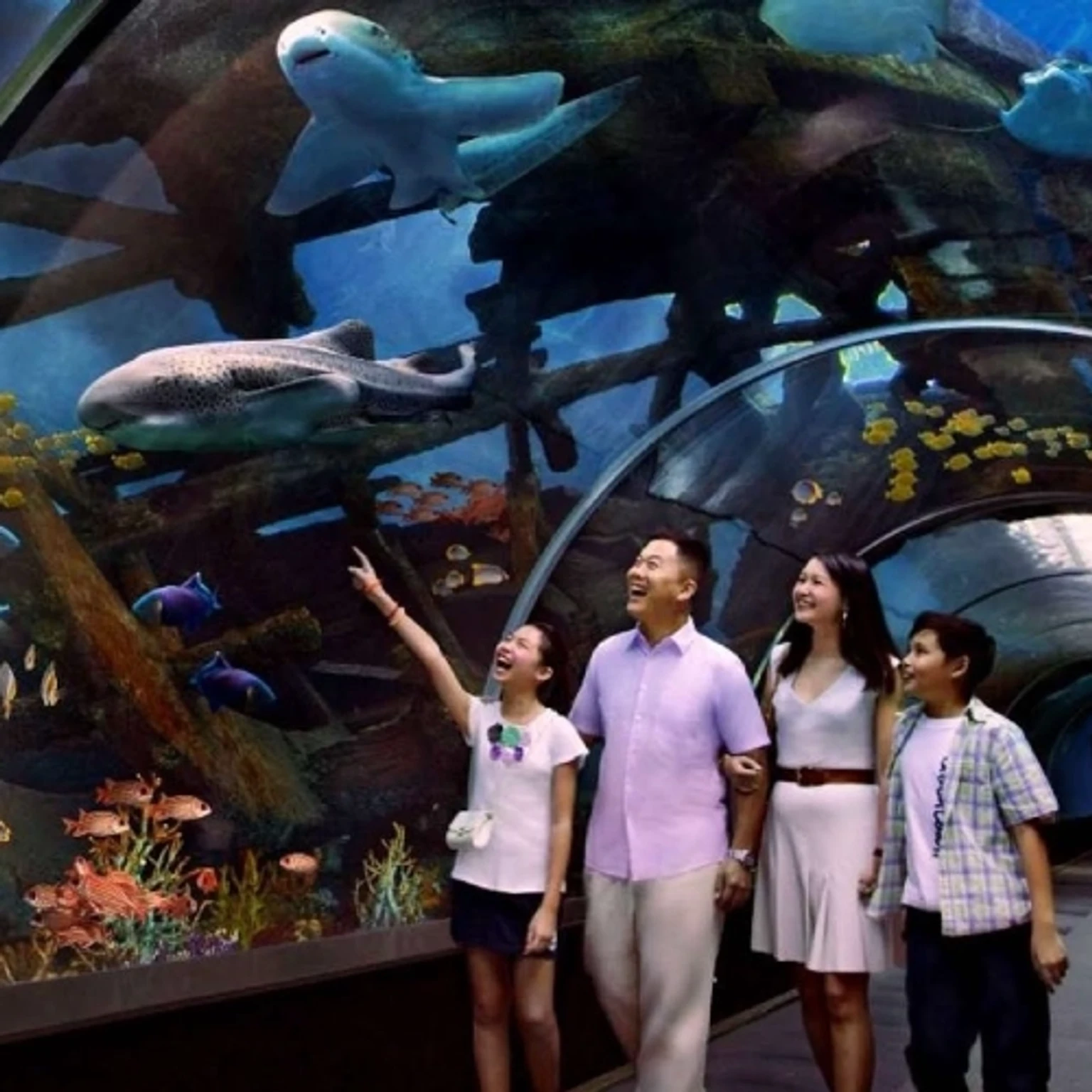 Singapore Oceanarium