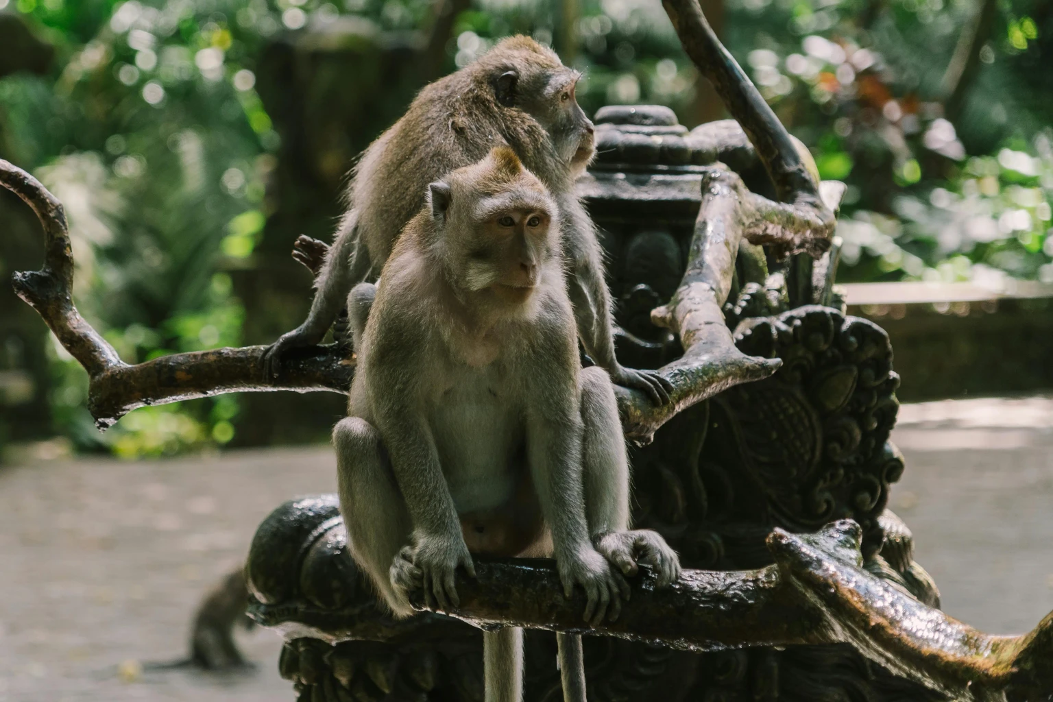 Tanah Lot Temple · Alas Kedaton Monkey Forest Tour
