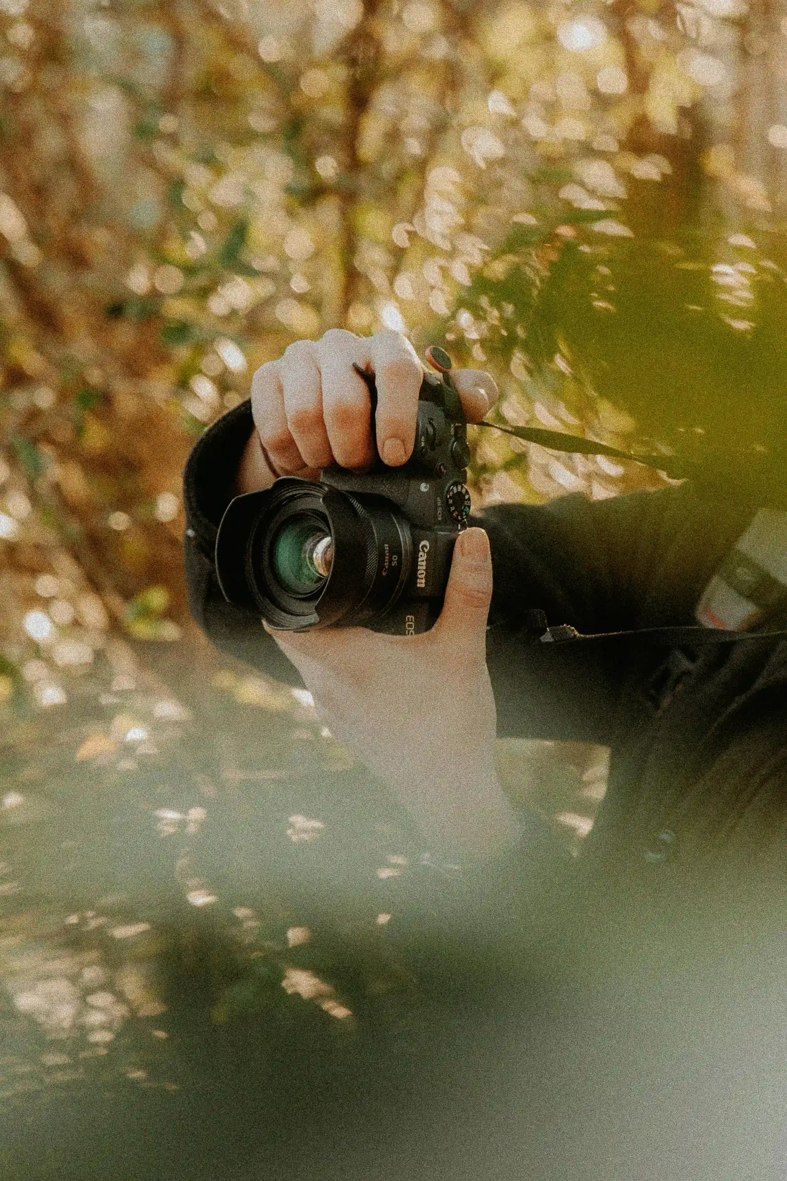 Professional Photographer