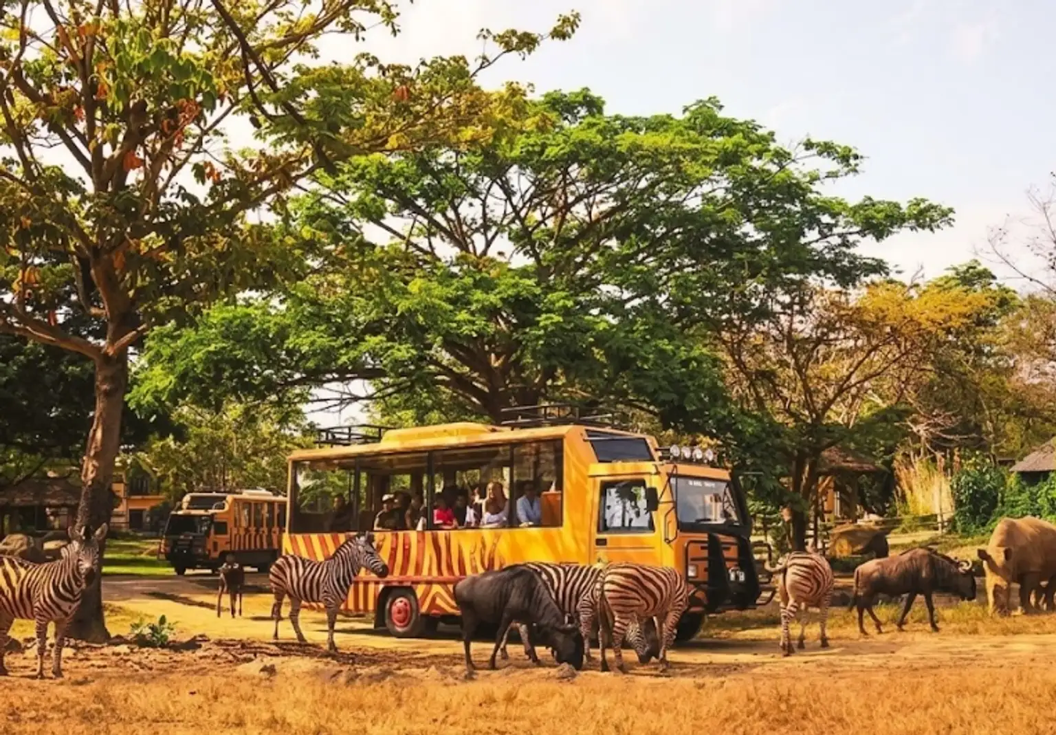 Bali Safari (Marine Park Pass)