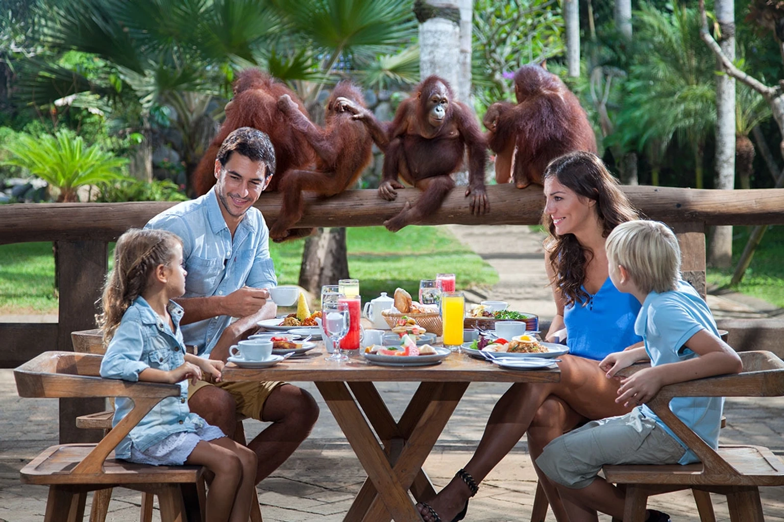 Bali Zoo